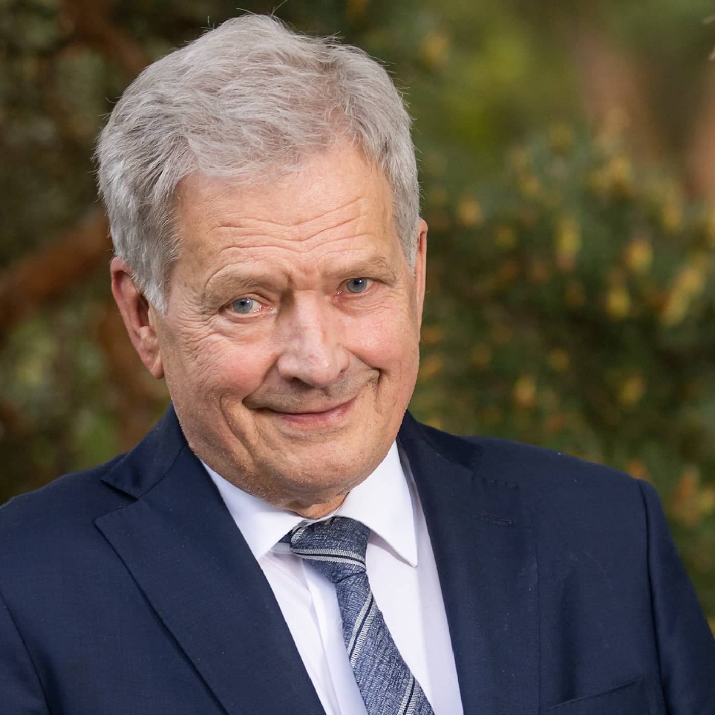 Sauli Niinistö artwork