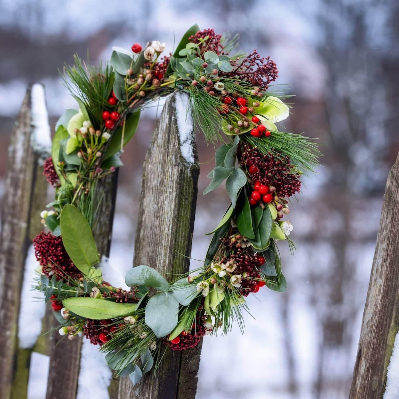Säsongsstart: Vinter i P1 artwork