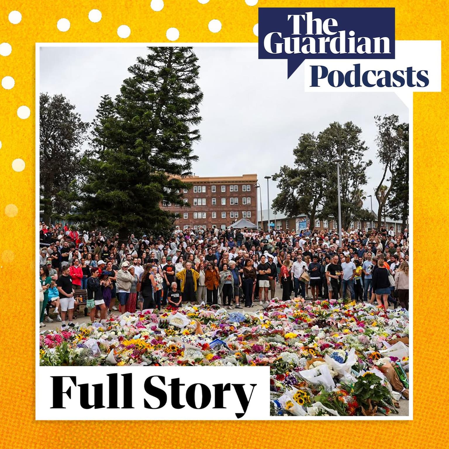 Shock, grief and political reaction: Bondi terror attack aftermath artwork