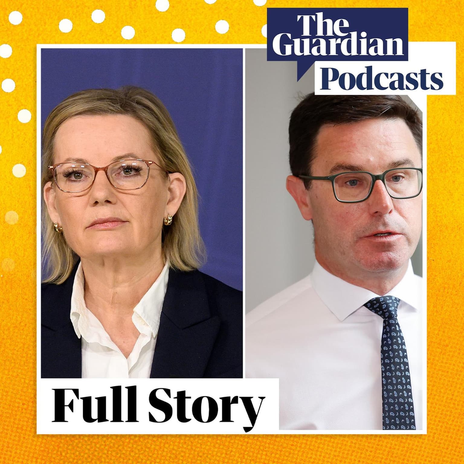 The Coalition has collapsed, will Ley’s leadership? artwork