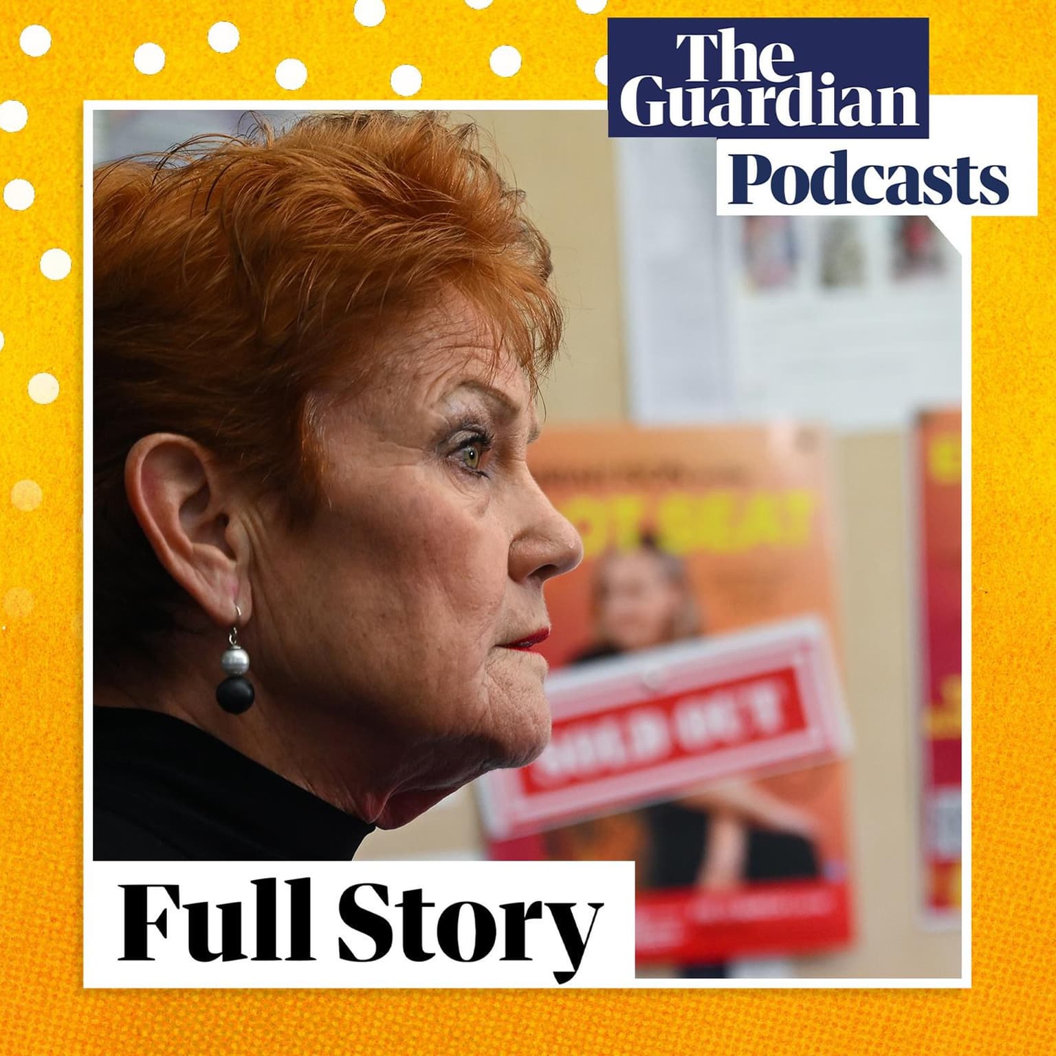 Guardian Essential poll: Pauline Hanson has another breakthrough artwork