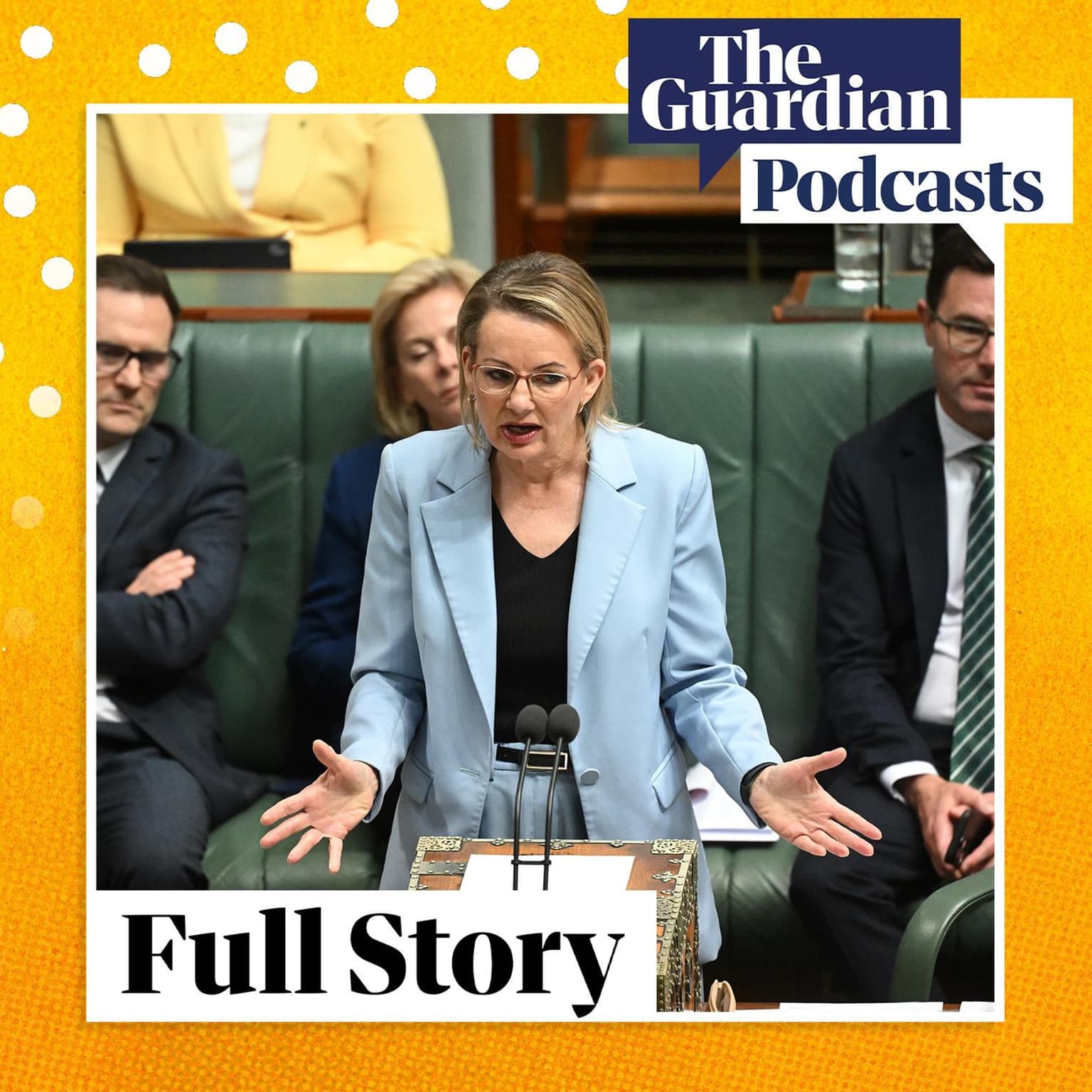 Sussan Ley says ‘still up for the job’ of opposition leader artwork
