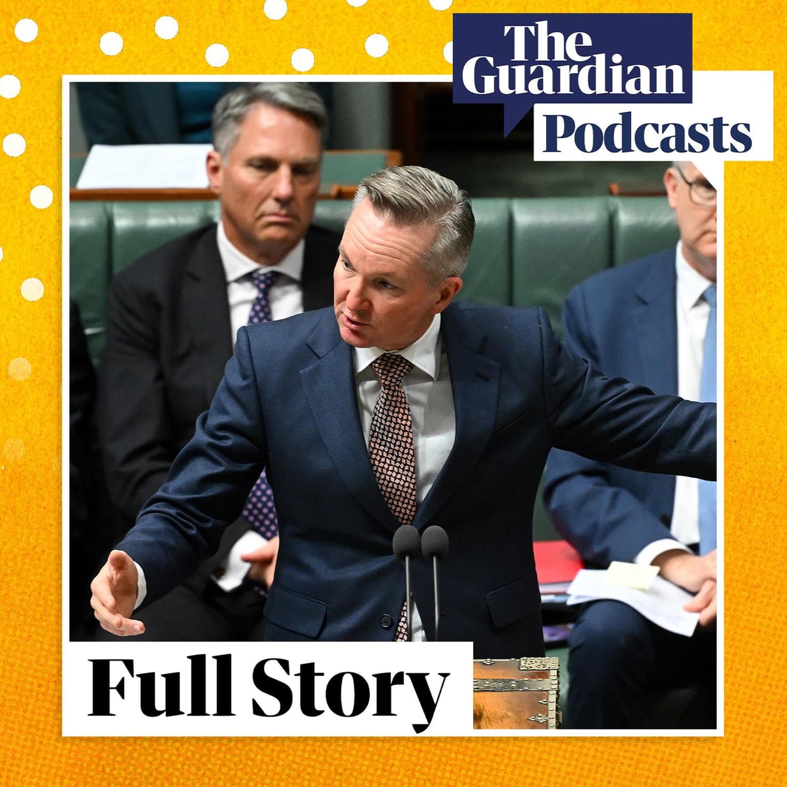 Energy minister Chris Bowen on the impact of the fuel crisis artwork