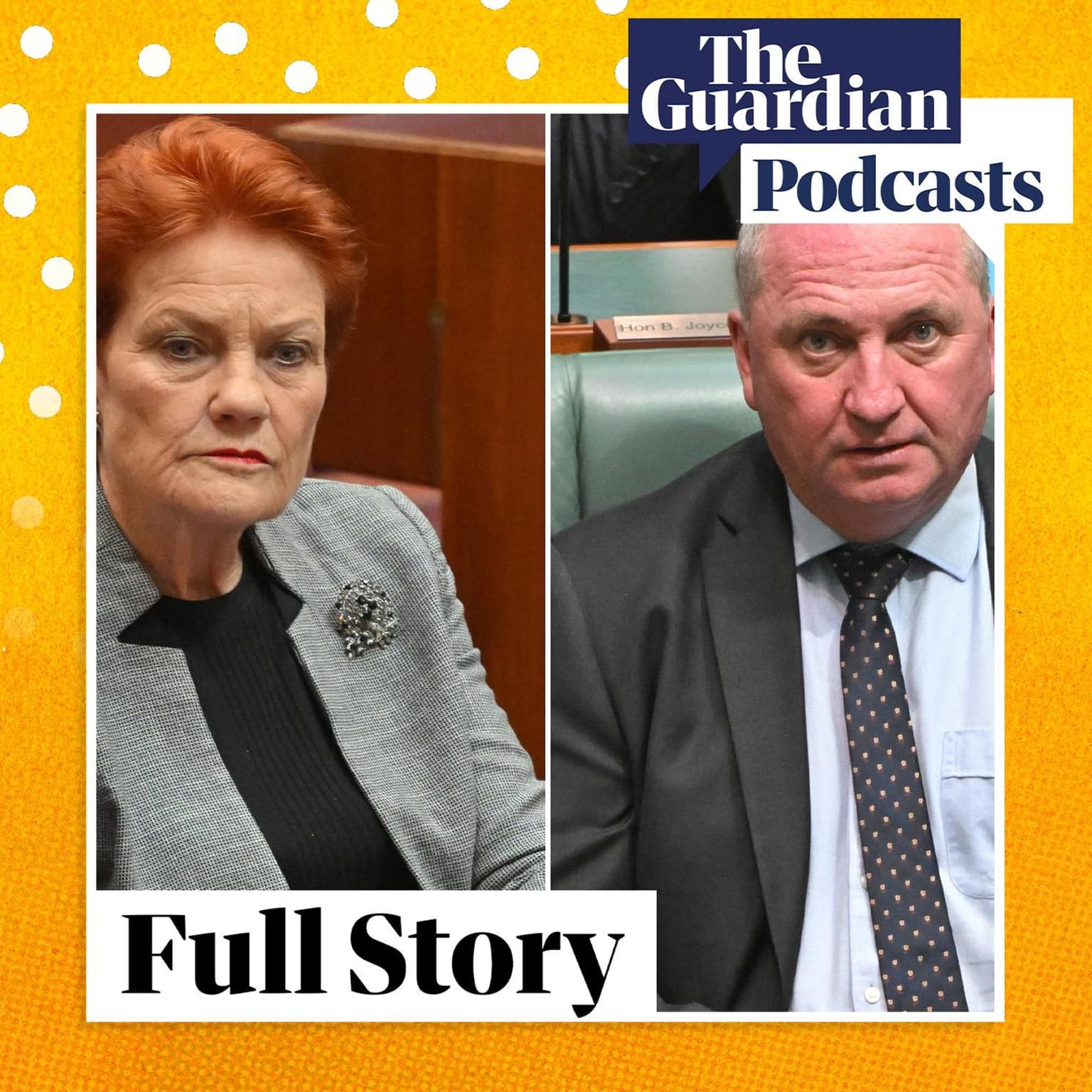 Will Barnaby Joyce jump to One Nation? artwork