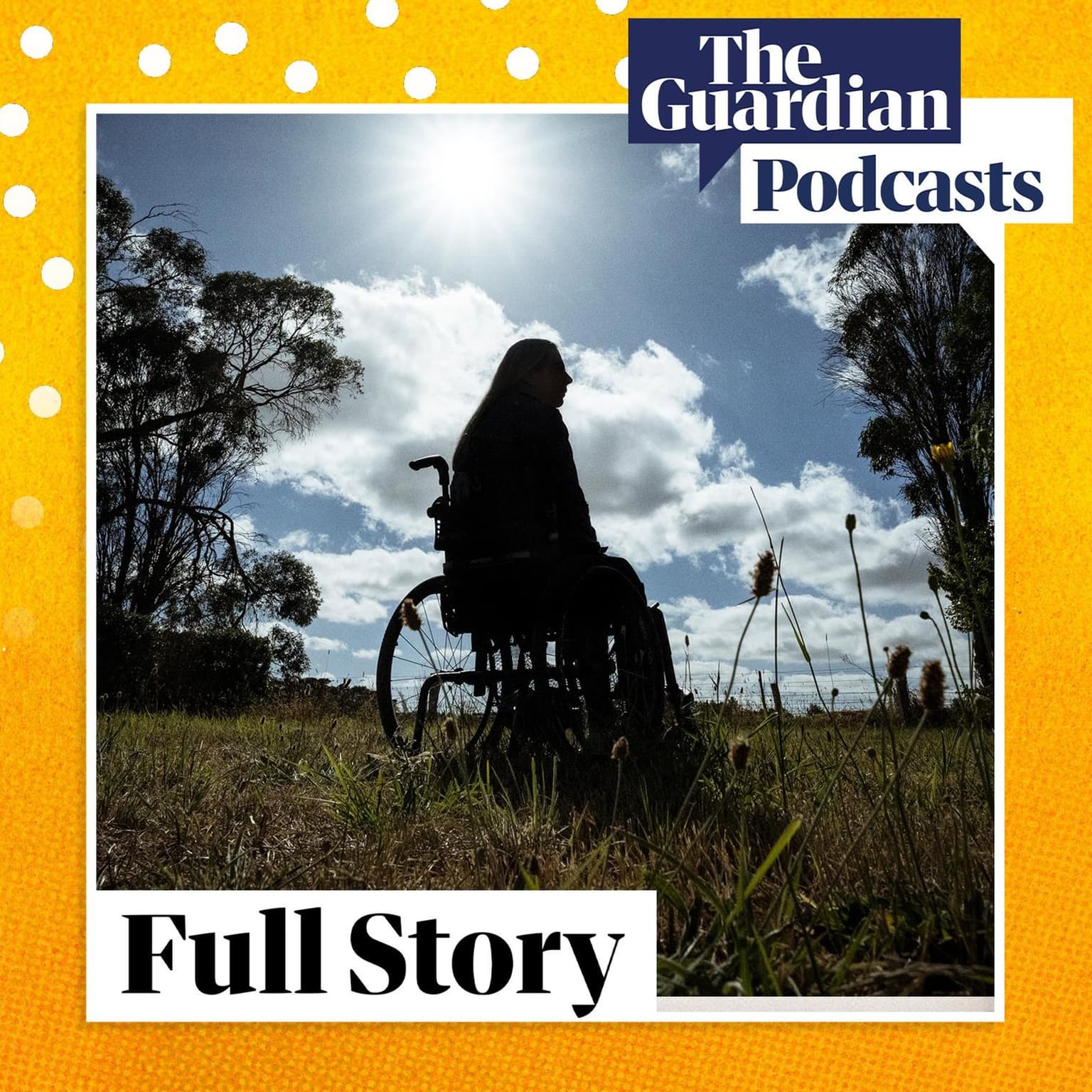 Make or break for the NDIS artwork