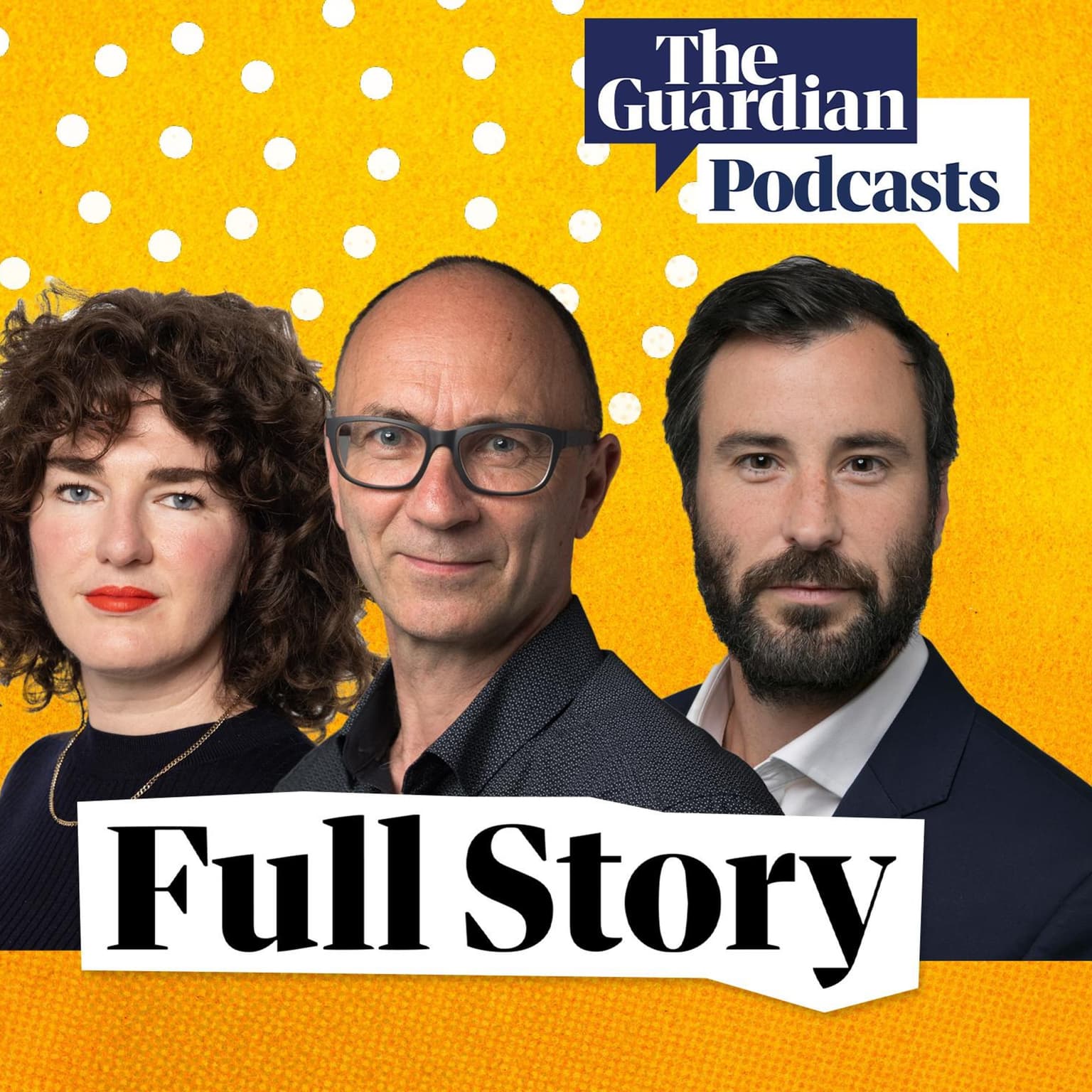Can the Liberals survive an existential crisis? artwork