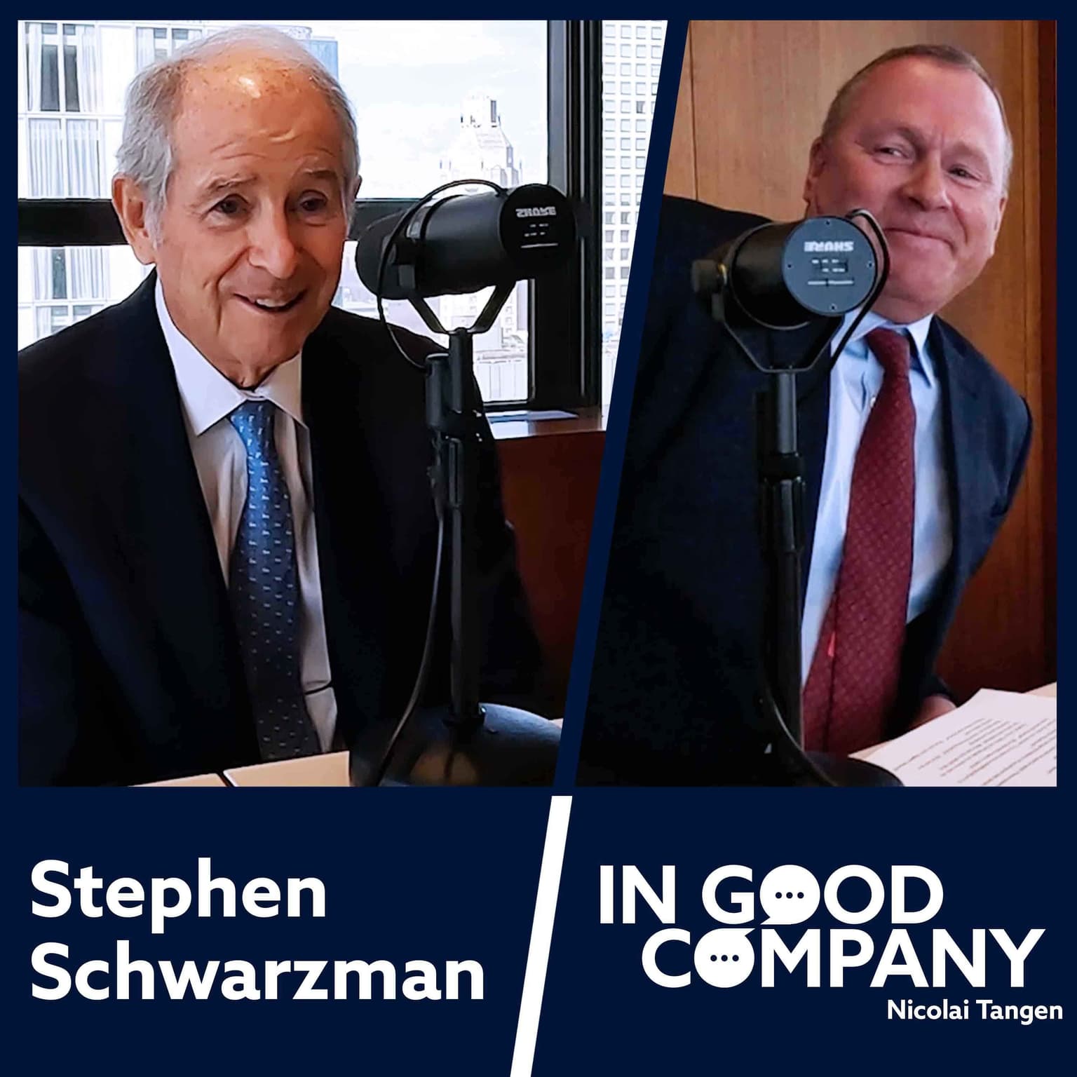 Stephen Schwarzman founder and CEO of Blackstone artwork