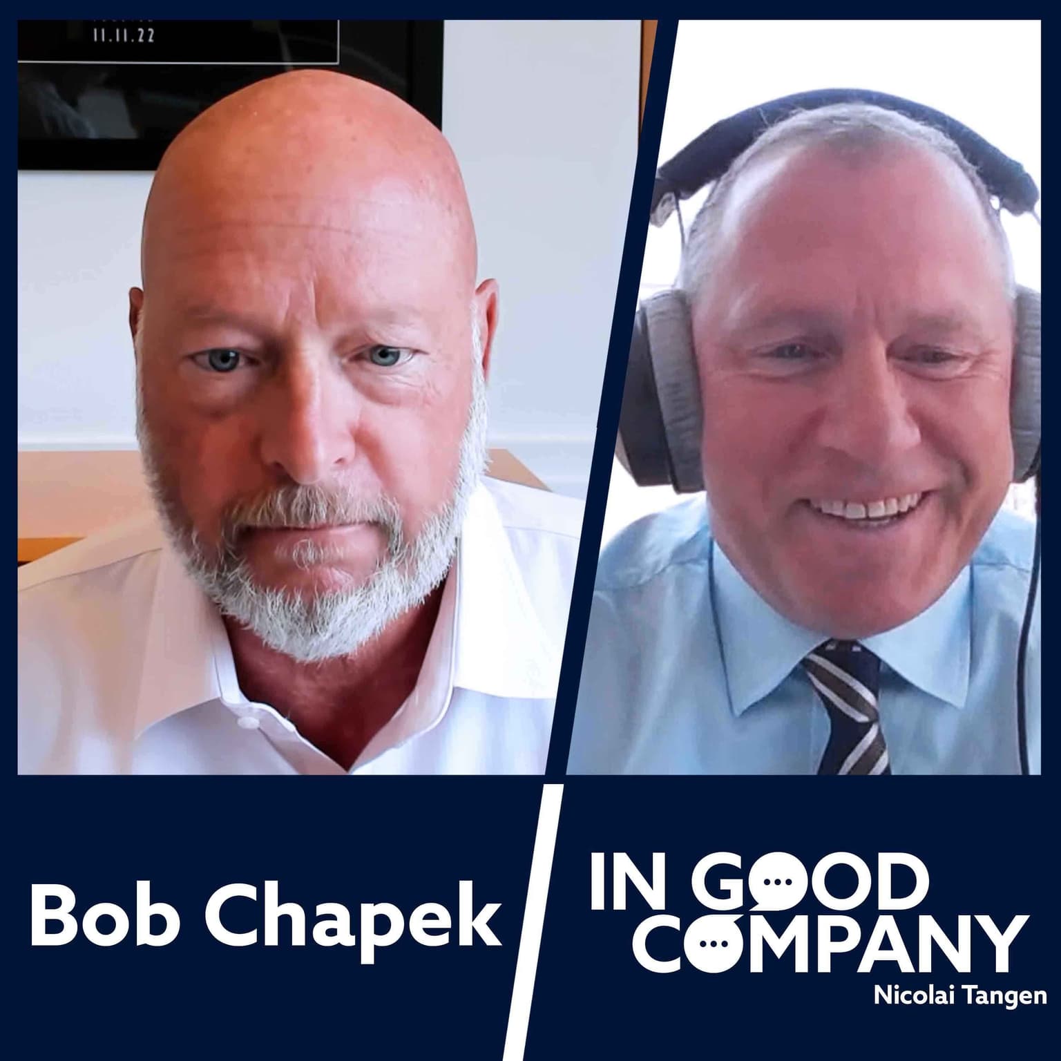 Bob Chapek CEO of Disney artwork