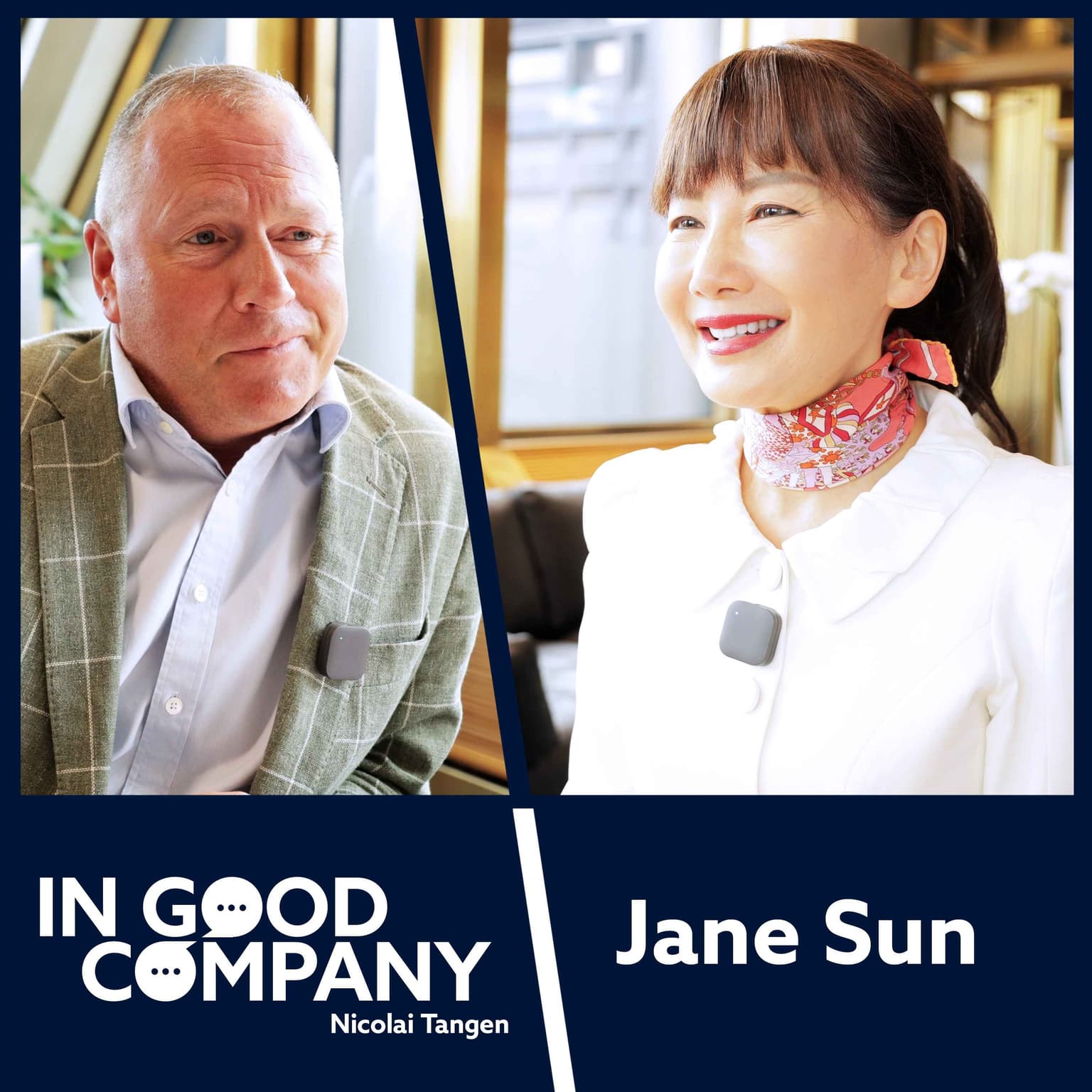 Jane Sun: Travel, crisis management and female leadership artwork