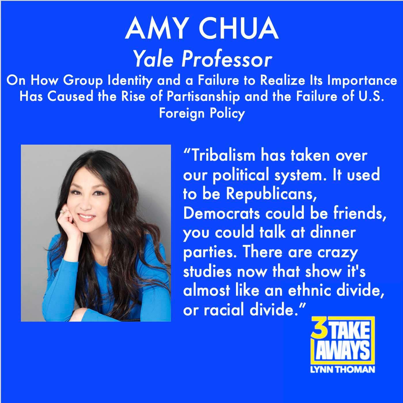 Yale Professor, Amy Chua: On How Group Identity and a Failure to Realize Its Importance Has Caused the Rise of Partisanship and the Failure of U.S. Foreign Policy (#12) artwork