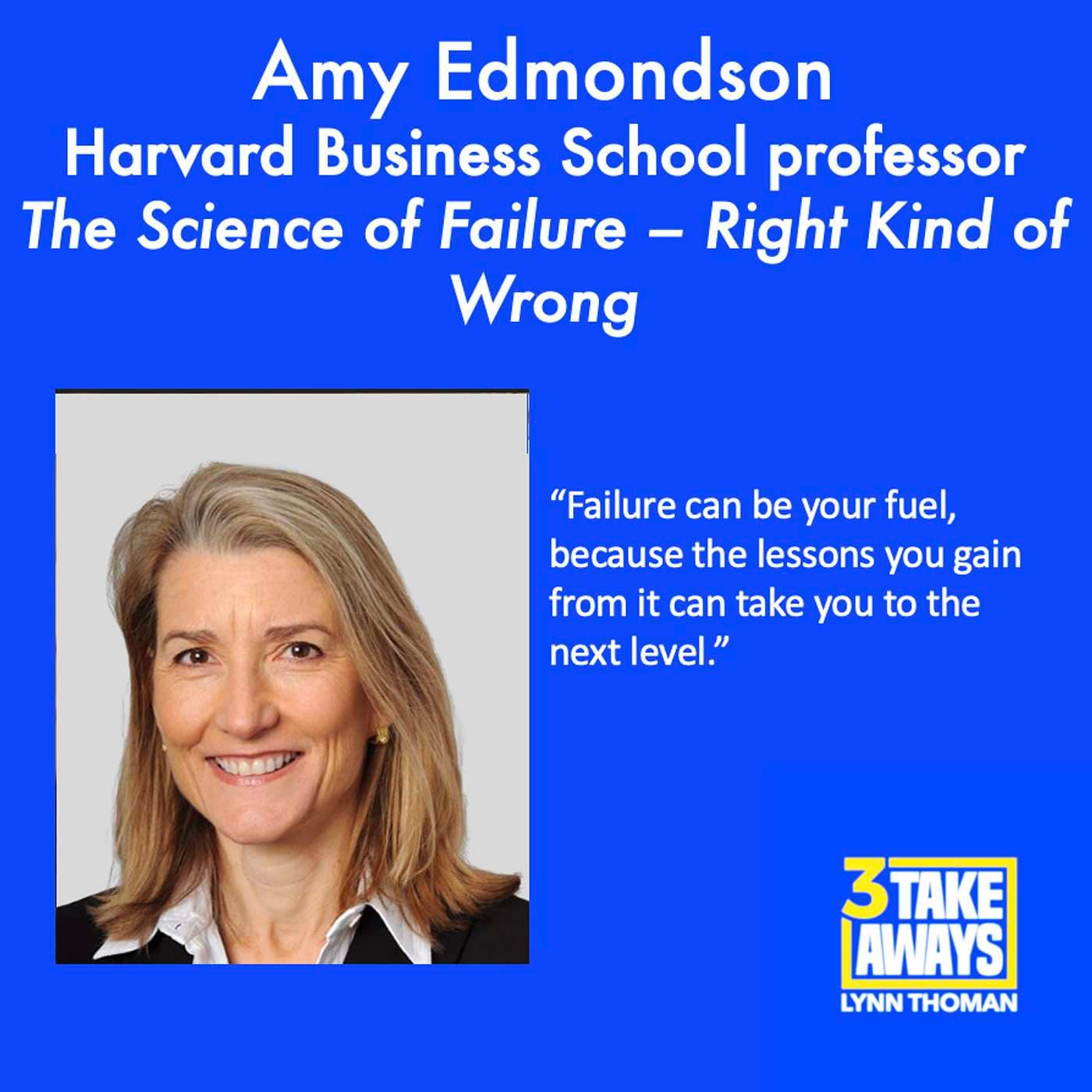 The Science of Failure – Right Kind of Wrong with Harvard Business School’s Amy Edmondson (#161) artwork