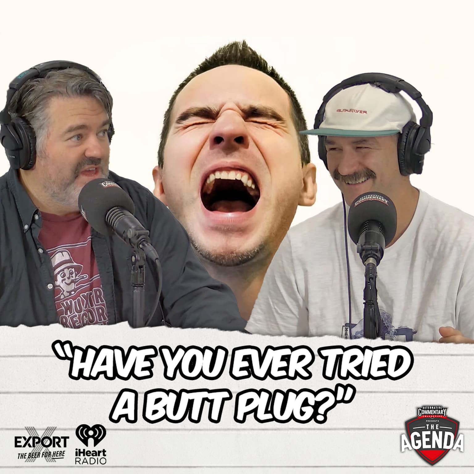 "Have You Ever Tried A Butt Plug?" artwork