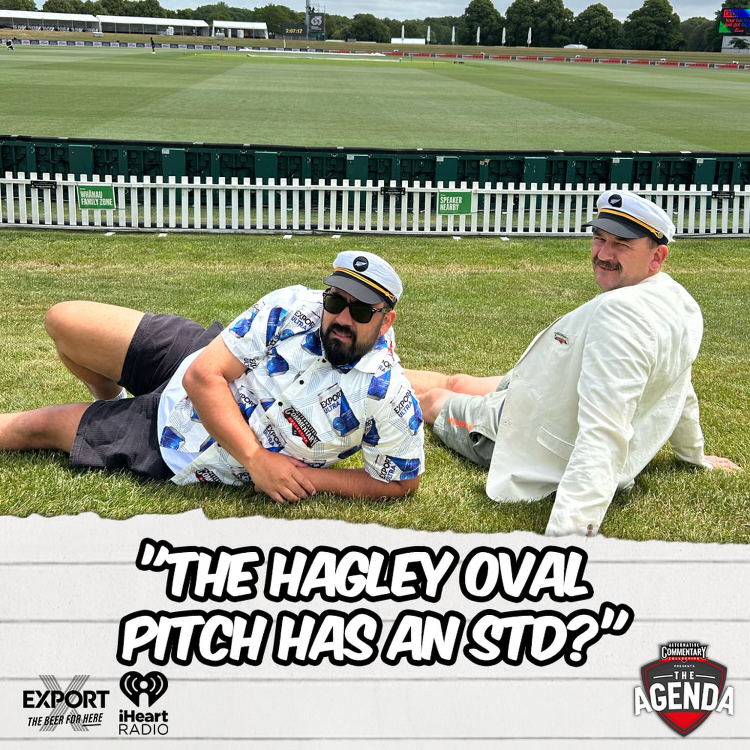 "The Hagley Oval Pitch Has An STD?" artwork
