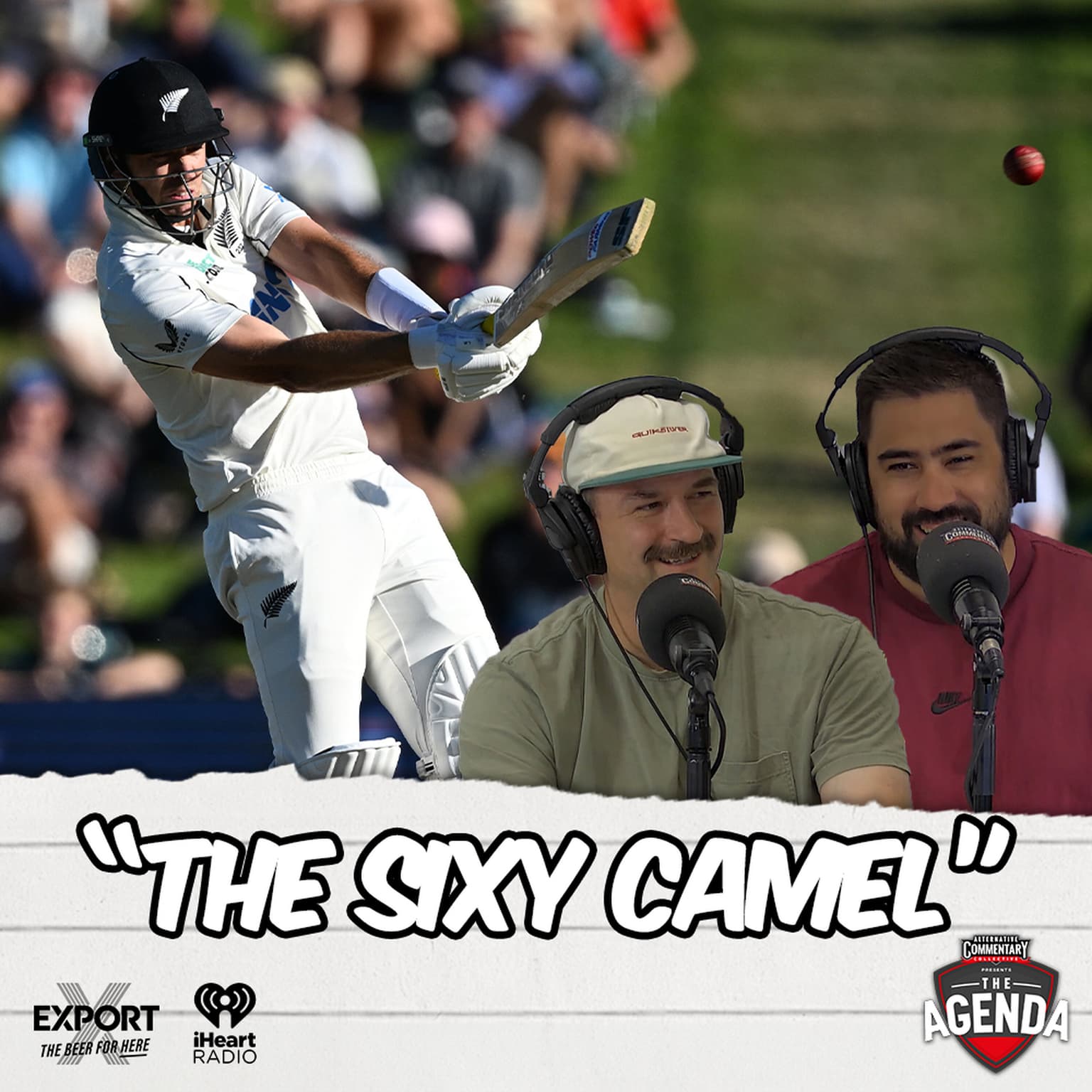 "The Sixy Camel" artwork