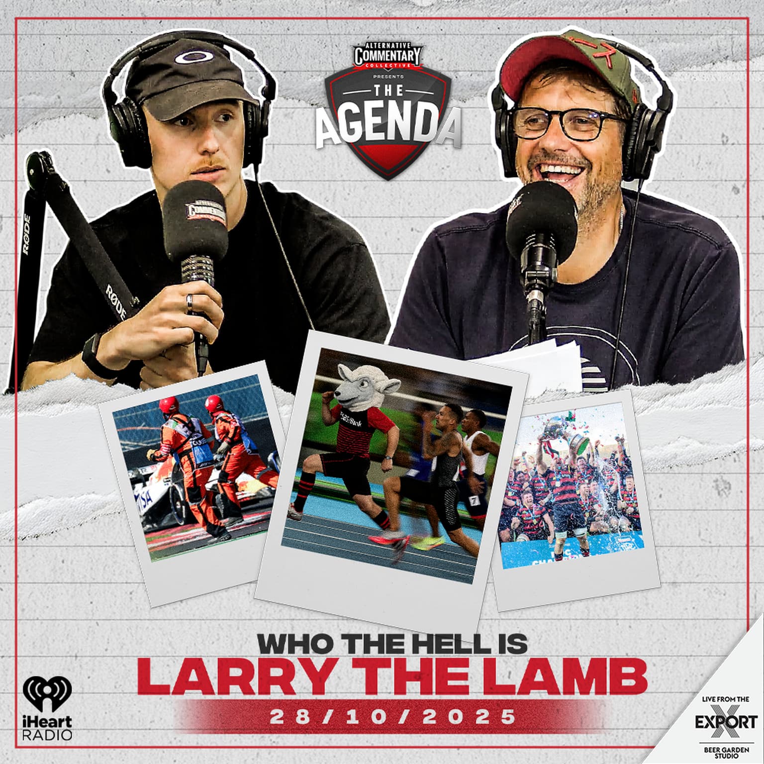 "Who The Hell Is Larry The Lamb" artwork