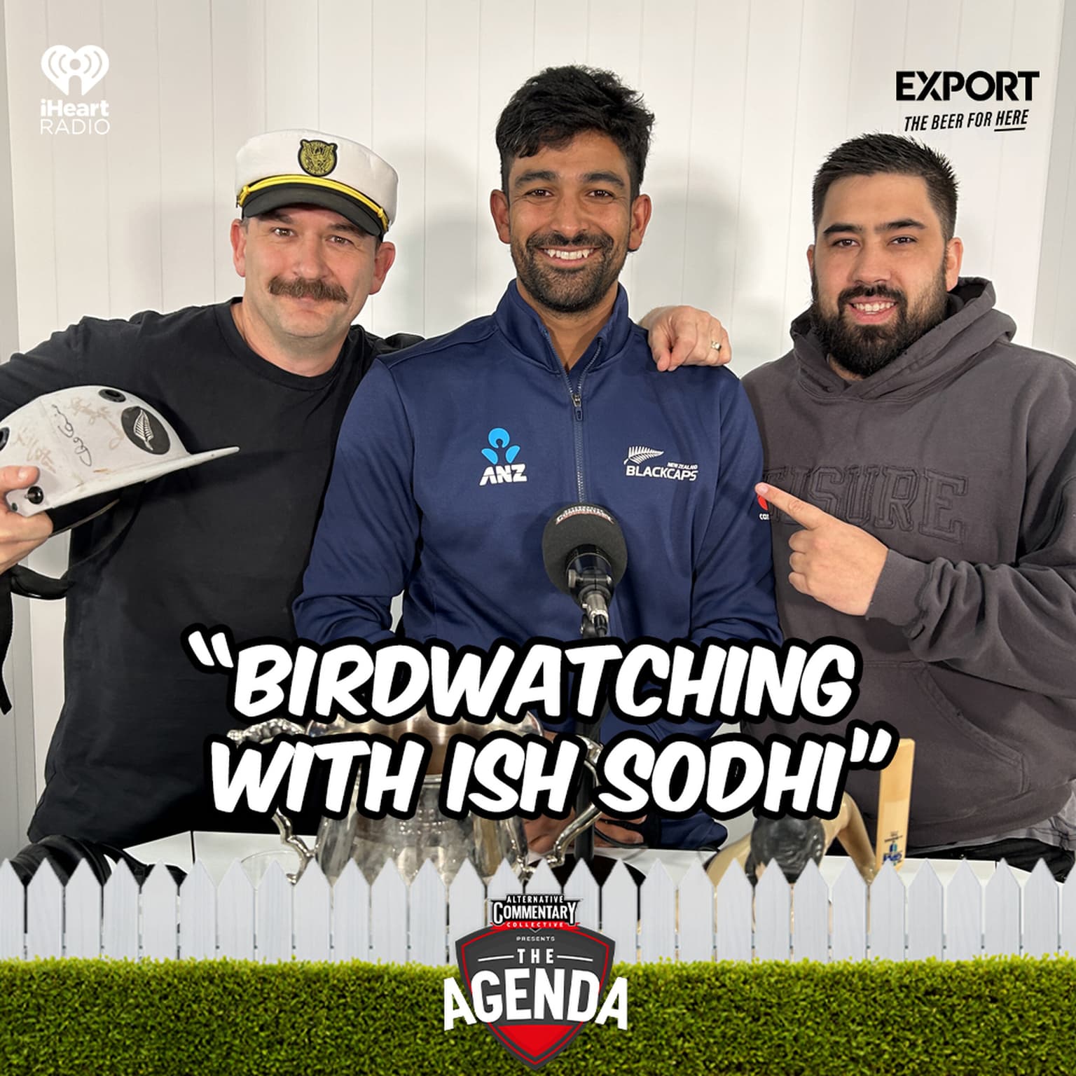 "Birdwatching With Ish Sodhi" artwork