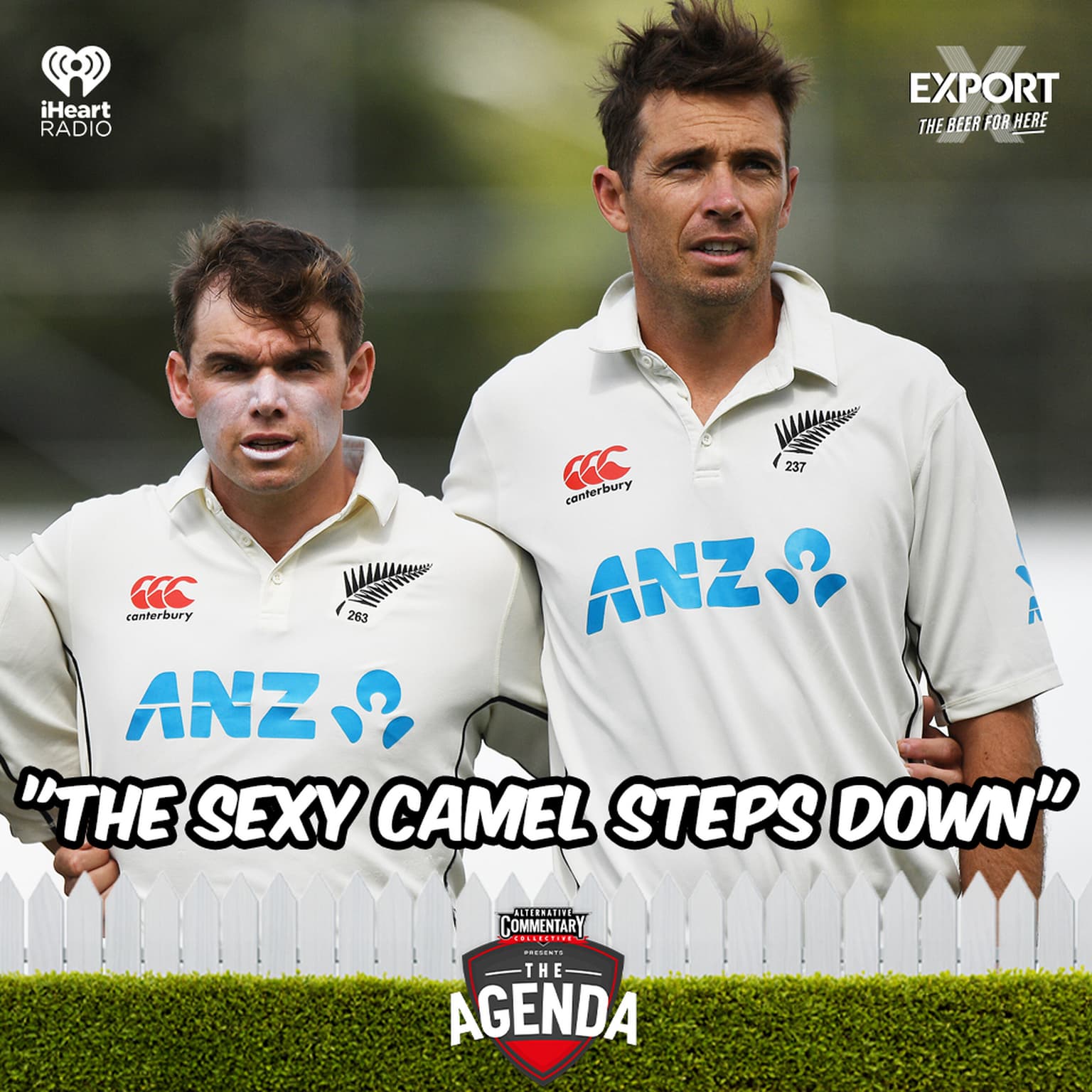 "The Sexy Camel Steps Down" artwork