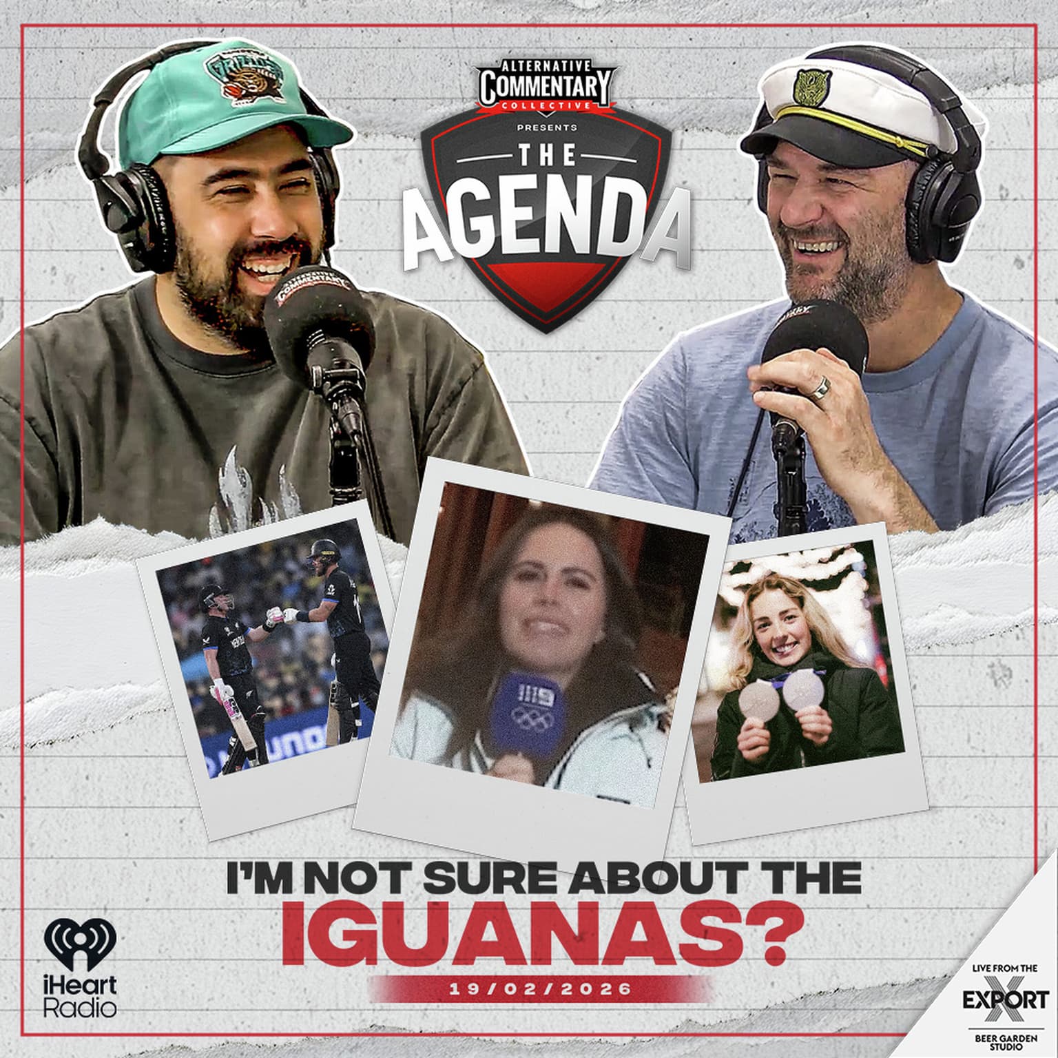 "I'm Not Sure About The Iguanas?" artwork