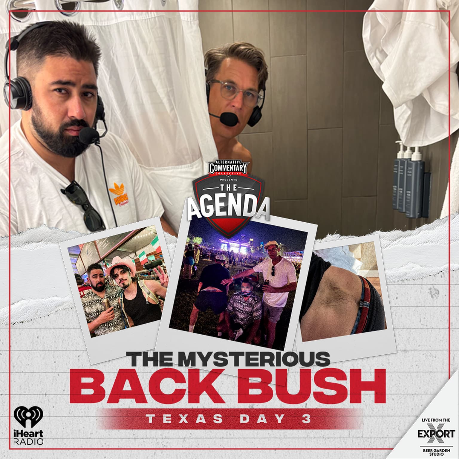 "The Mysterious Back Bush" artwork