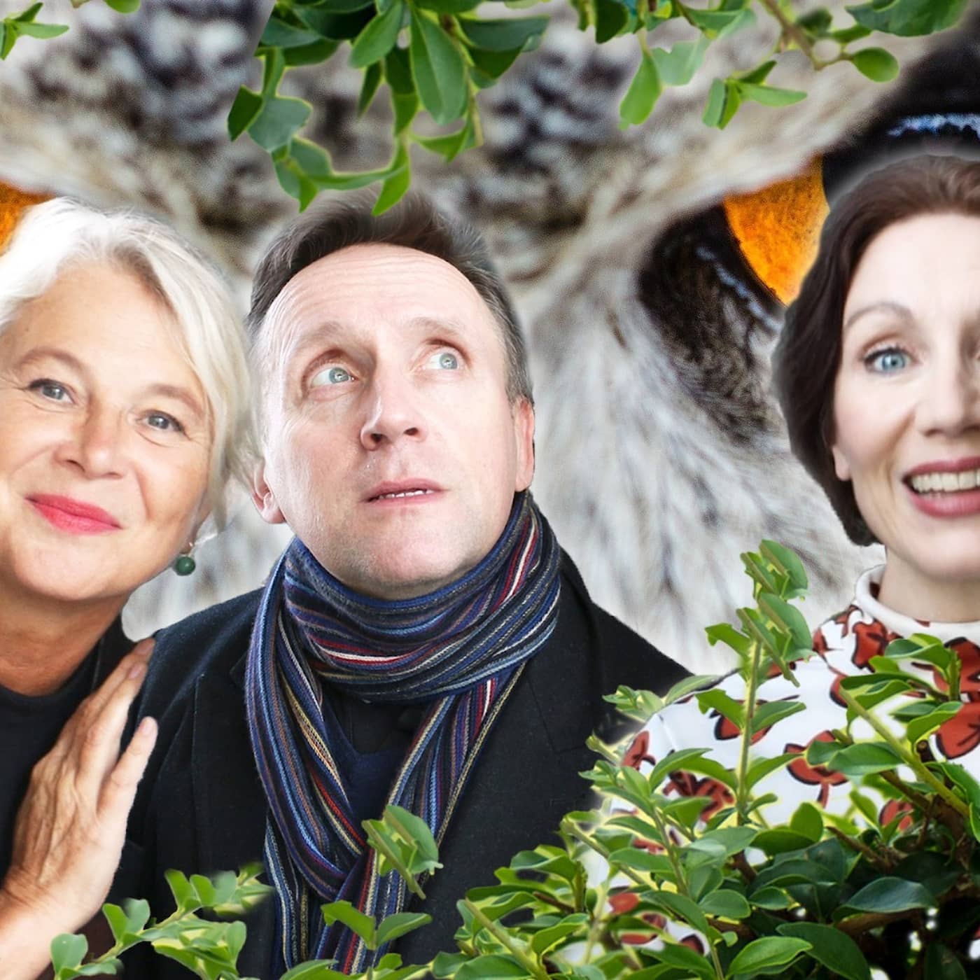 Snicksnack? Ja, tack!, Maximal harmoni - Galet!! & Mycel-mys med Spanarna artwork