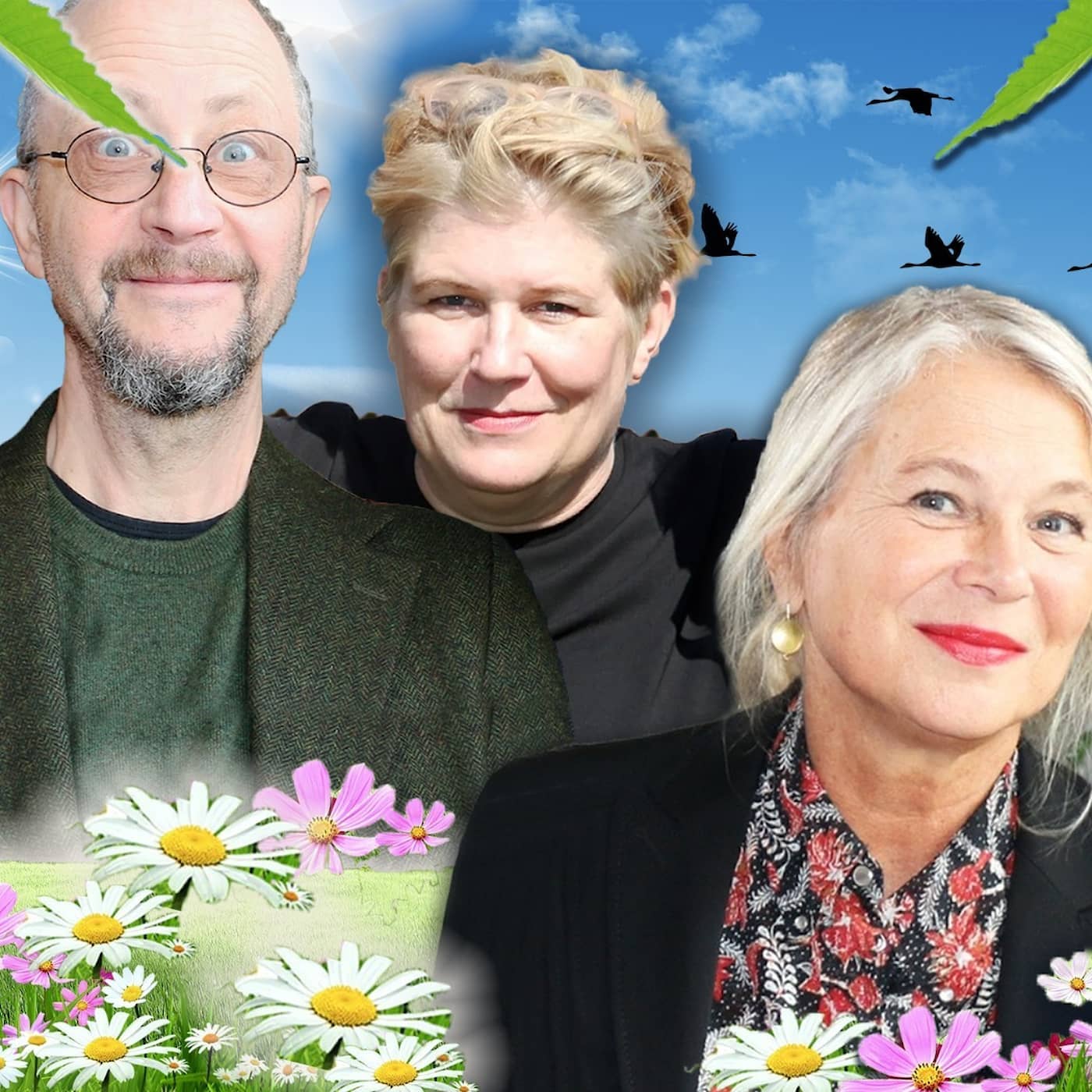 Rosa lugg och rakat, Moderna myter & Det nygamla normala. artwork