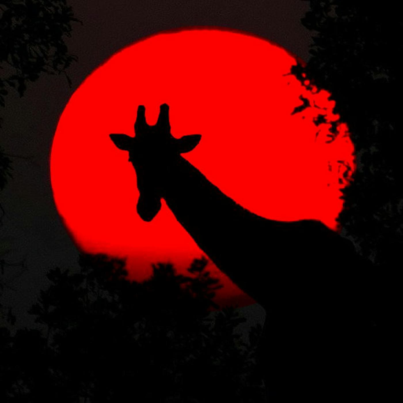 31: Hacker Giraffe artwork