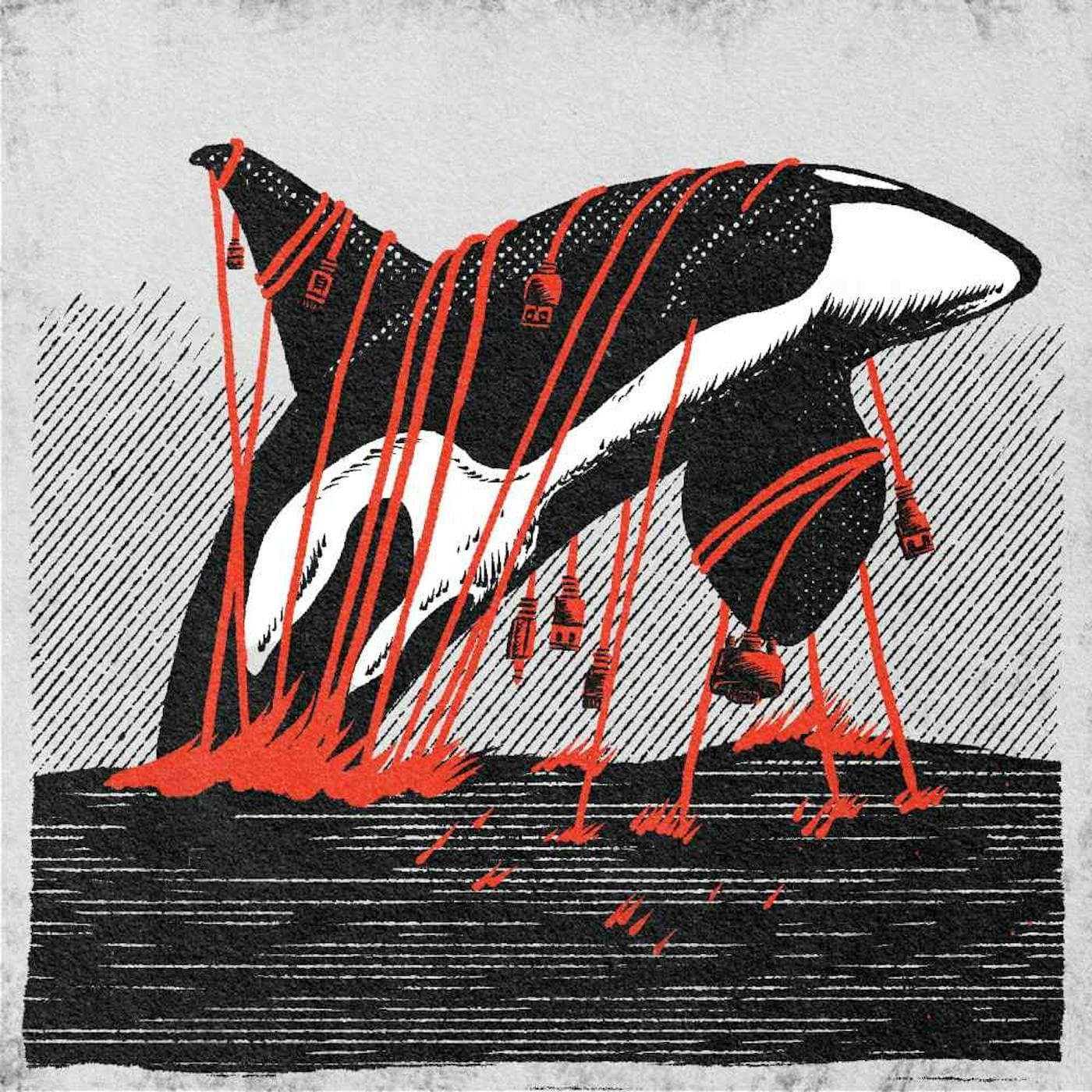 62: Cam artwork
