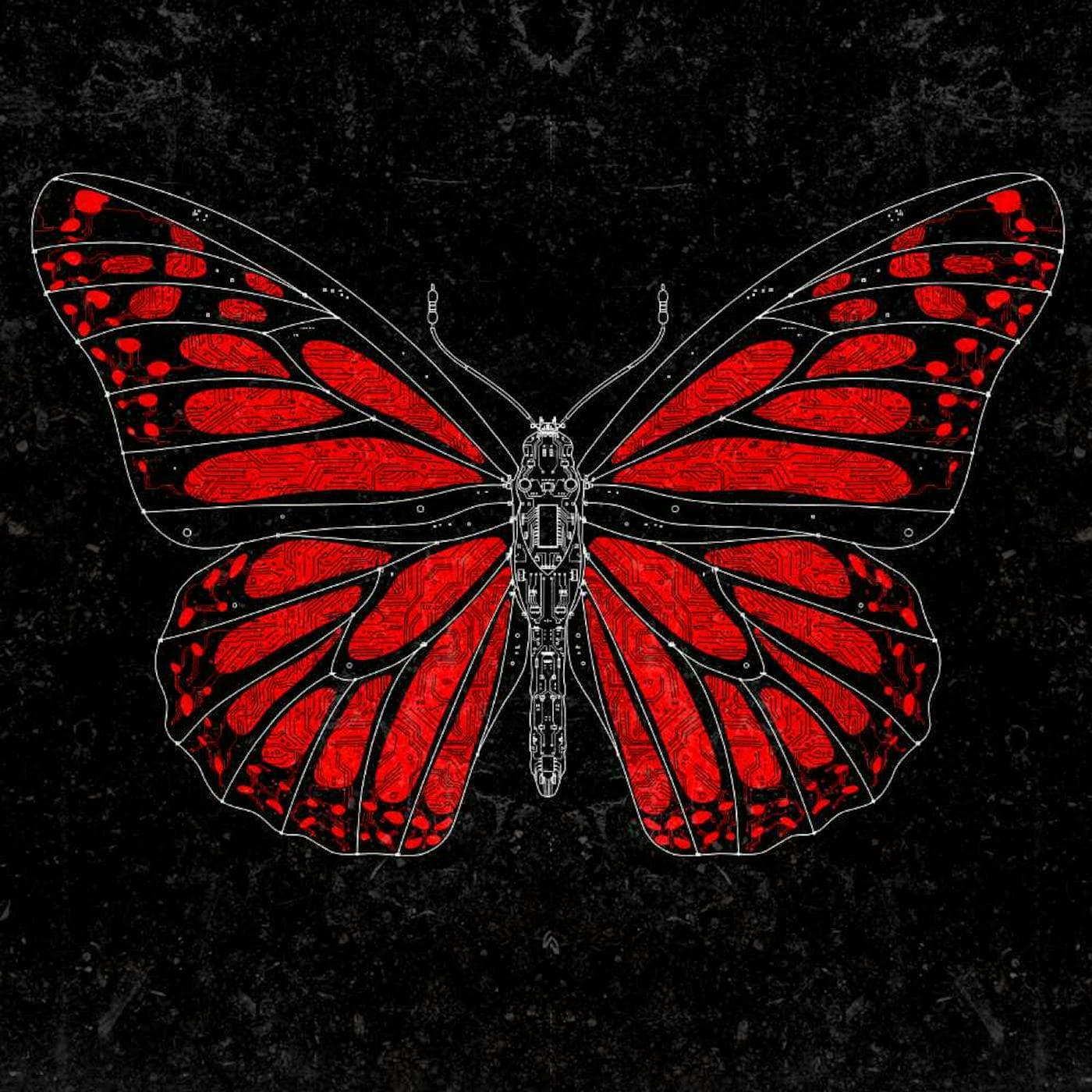 94: Mariposa artwork