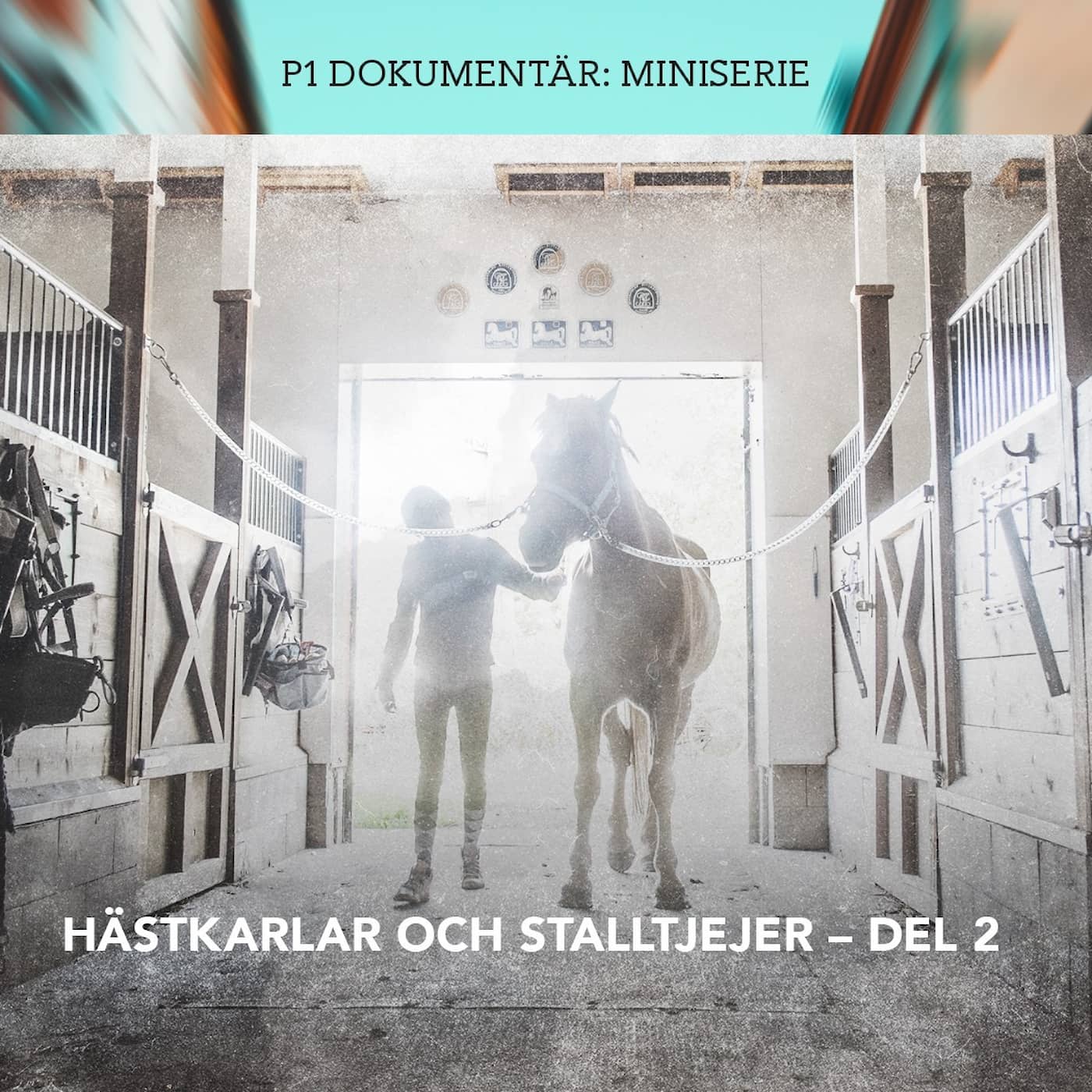 Hästkarlar och stalltjejer: Tjejerna anmäler | Del 2/3 artwork
