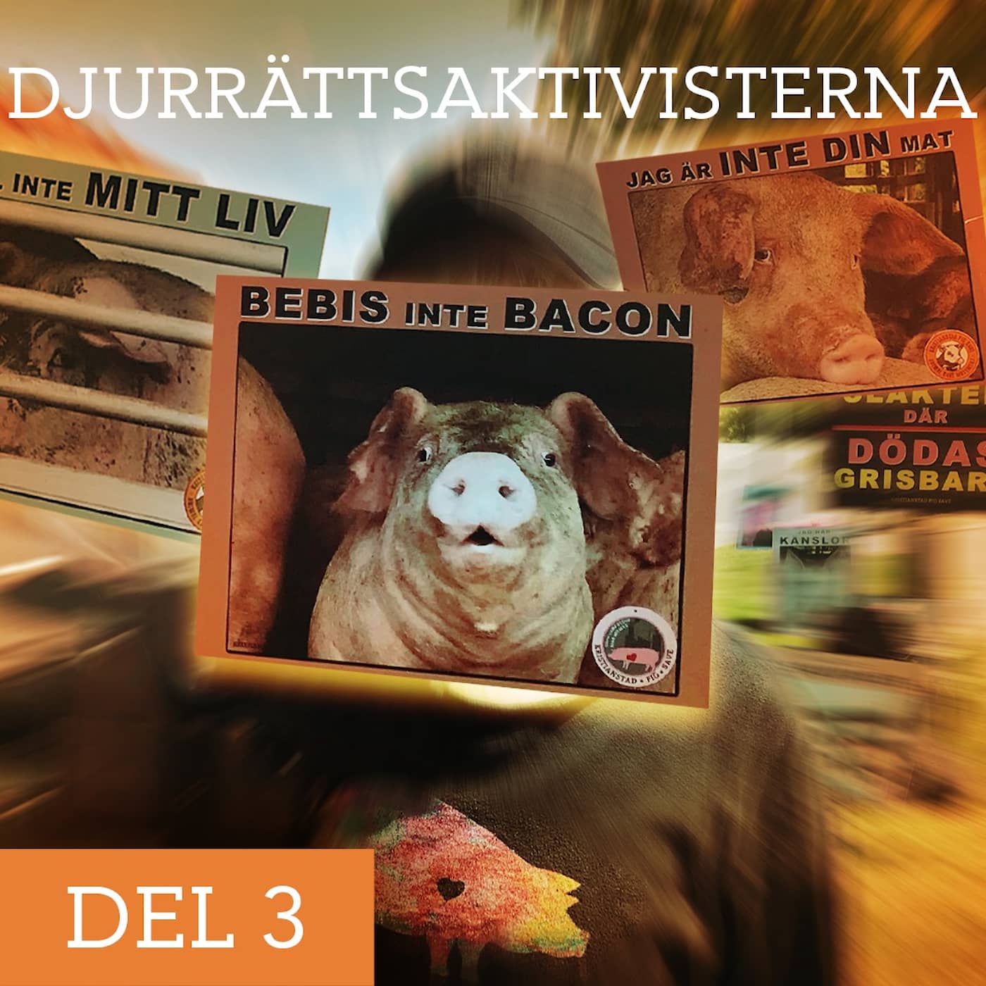 Djurrättsaktivisterna: Aktivister på Universitetet artwork