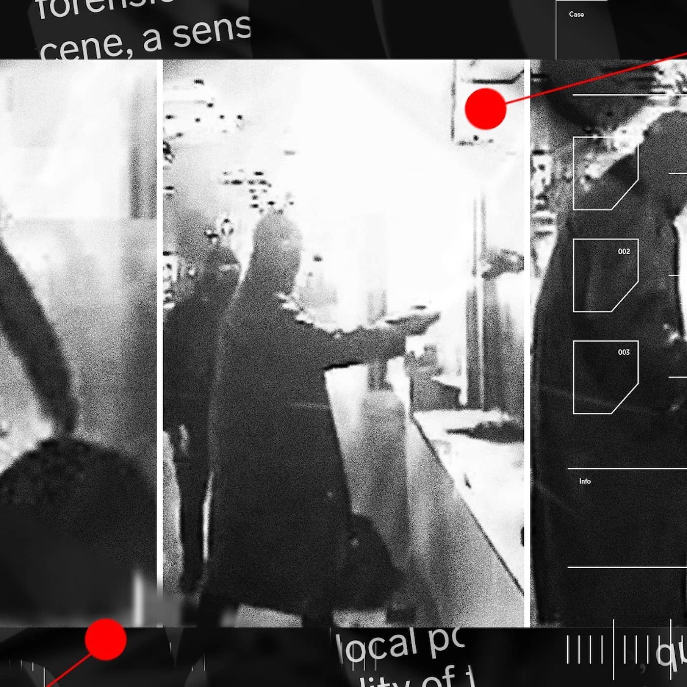 Så knäckte polisen Nisse Pistol och Gubbligan artwork