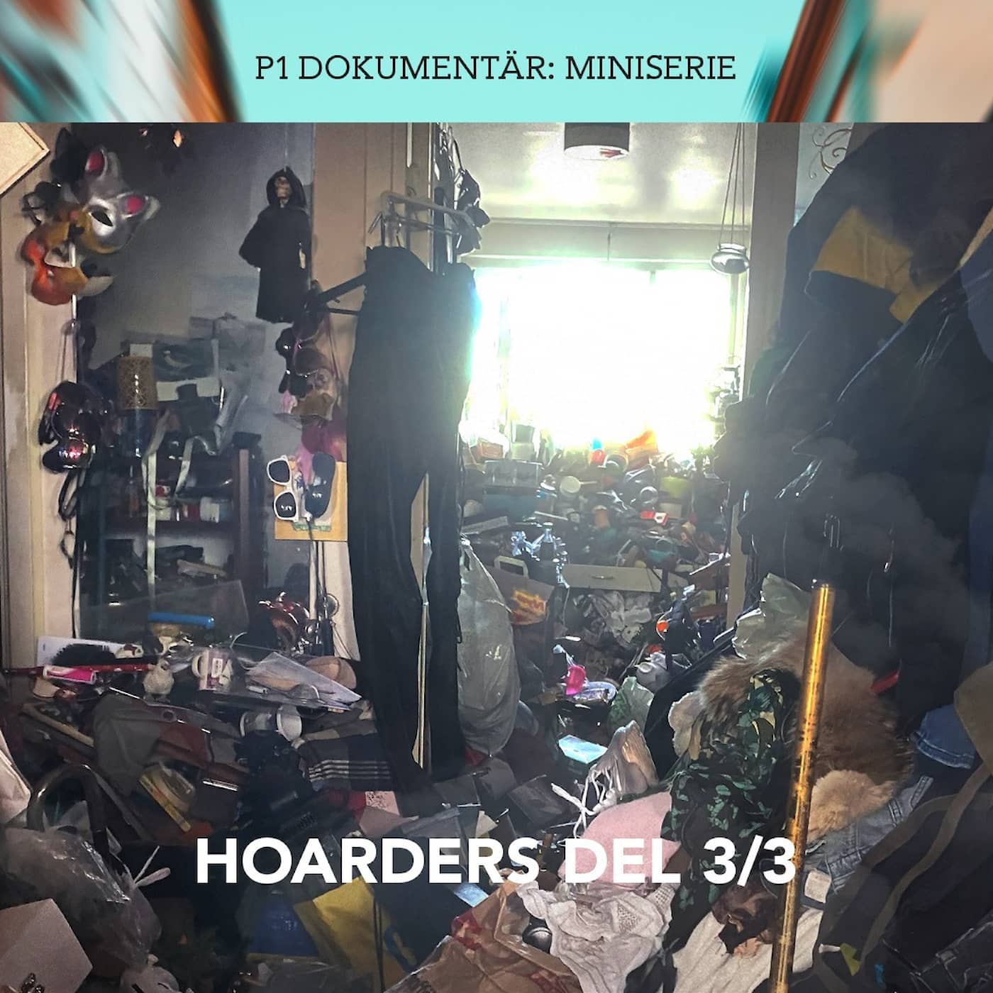 Hoarders – Min mamma är en hoarder | Del 3/3 artwork