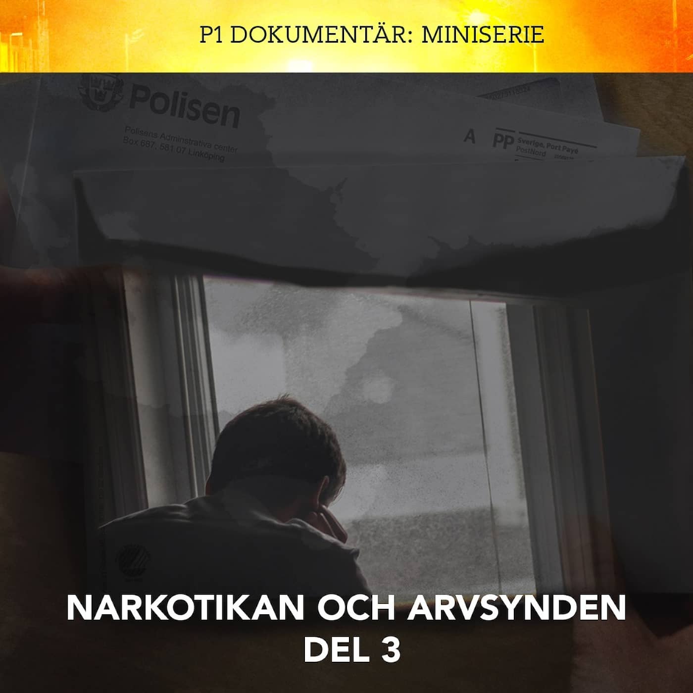 Narkotikan och arvsynden – familjen och medberoendet | Del 3/3 artwork