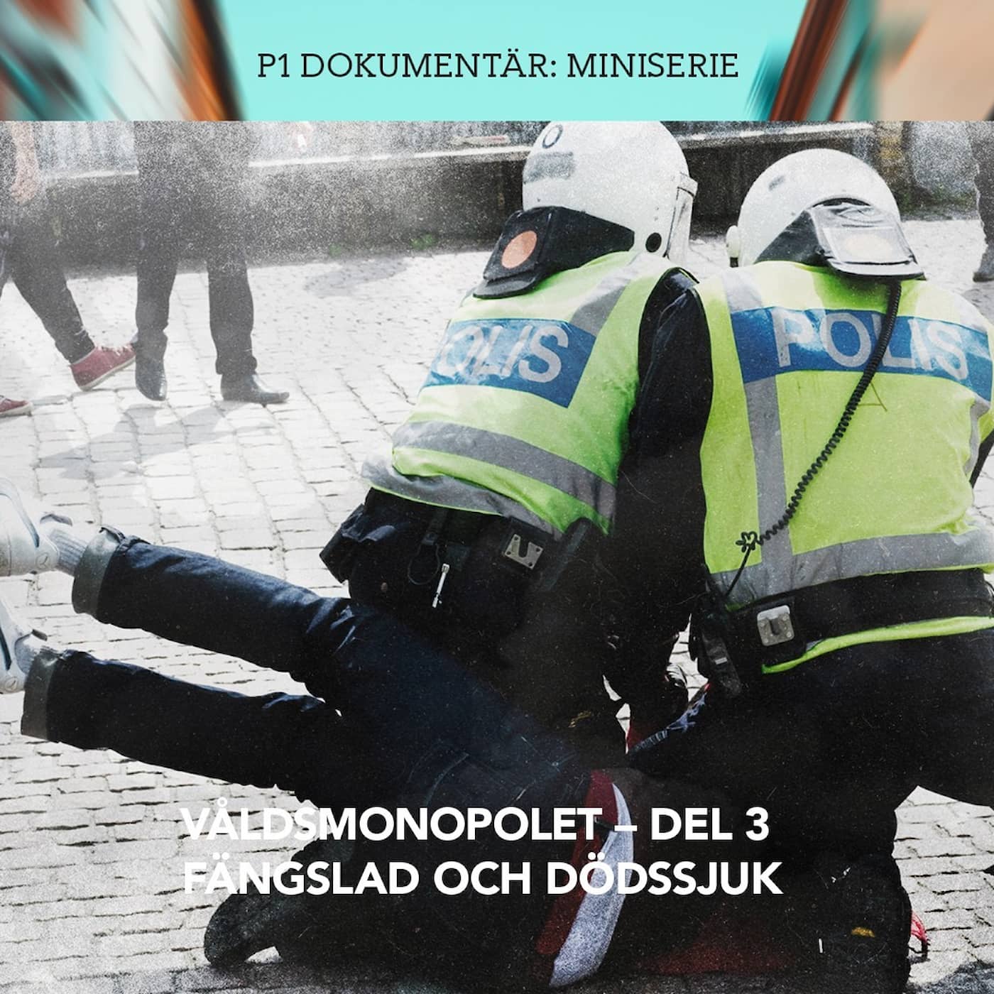 Våldsmonopolet – Fängslad och dödssjuk | del 3/3 artwork
