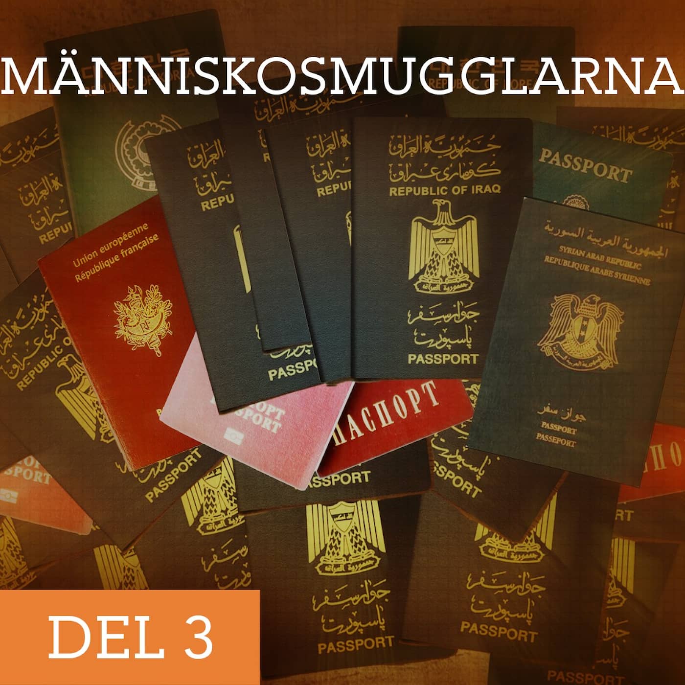 Människosmugglarna – Slutstation Sverige | Del 3/3 artwork