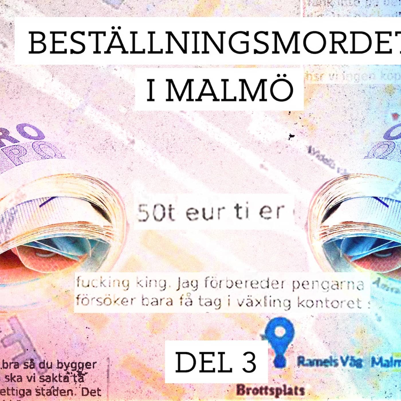 Beställningsmordet i Malmö – Priset för ett liv | Del 3/3 artwork