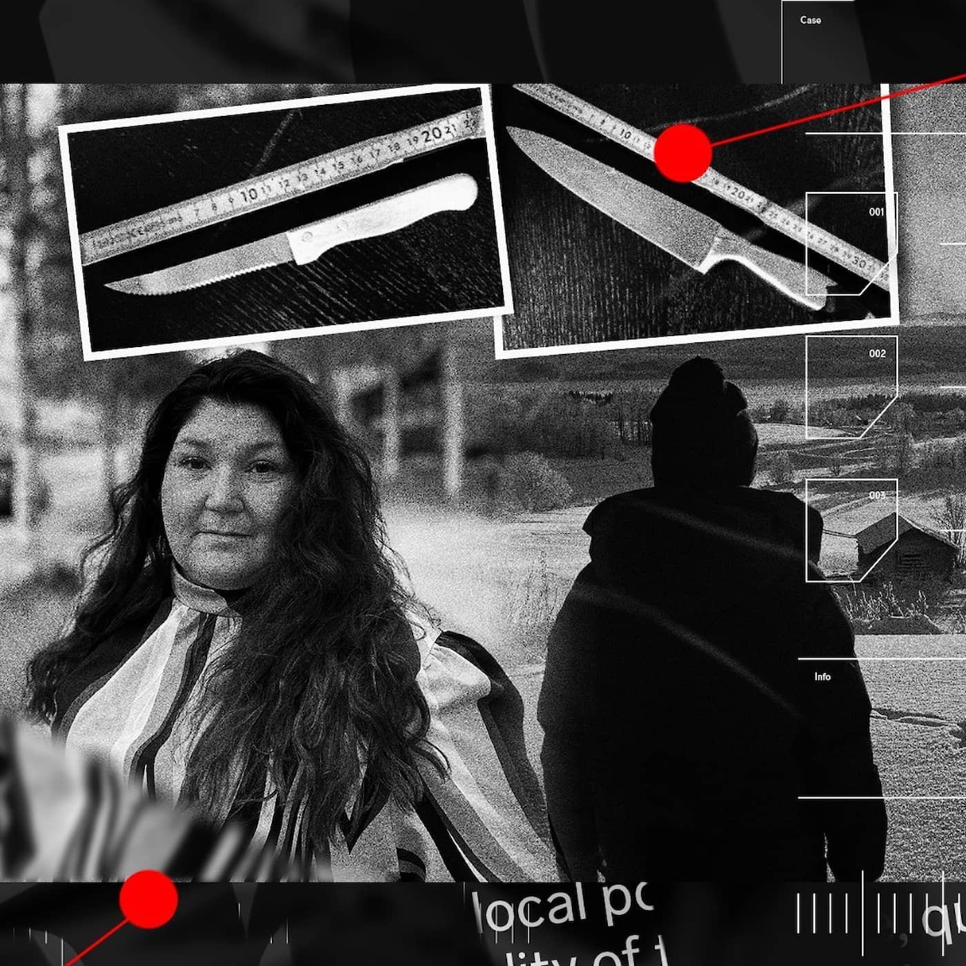 Linn och Sara utsattes för högriskmannens terror – trots larmen till polisen artwork