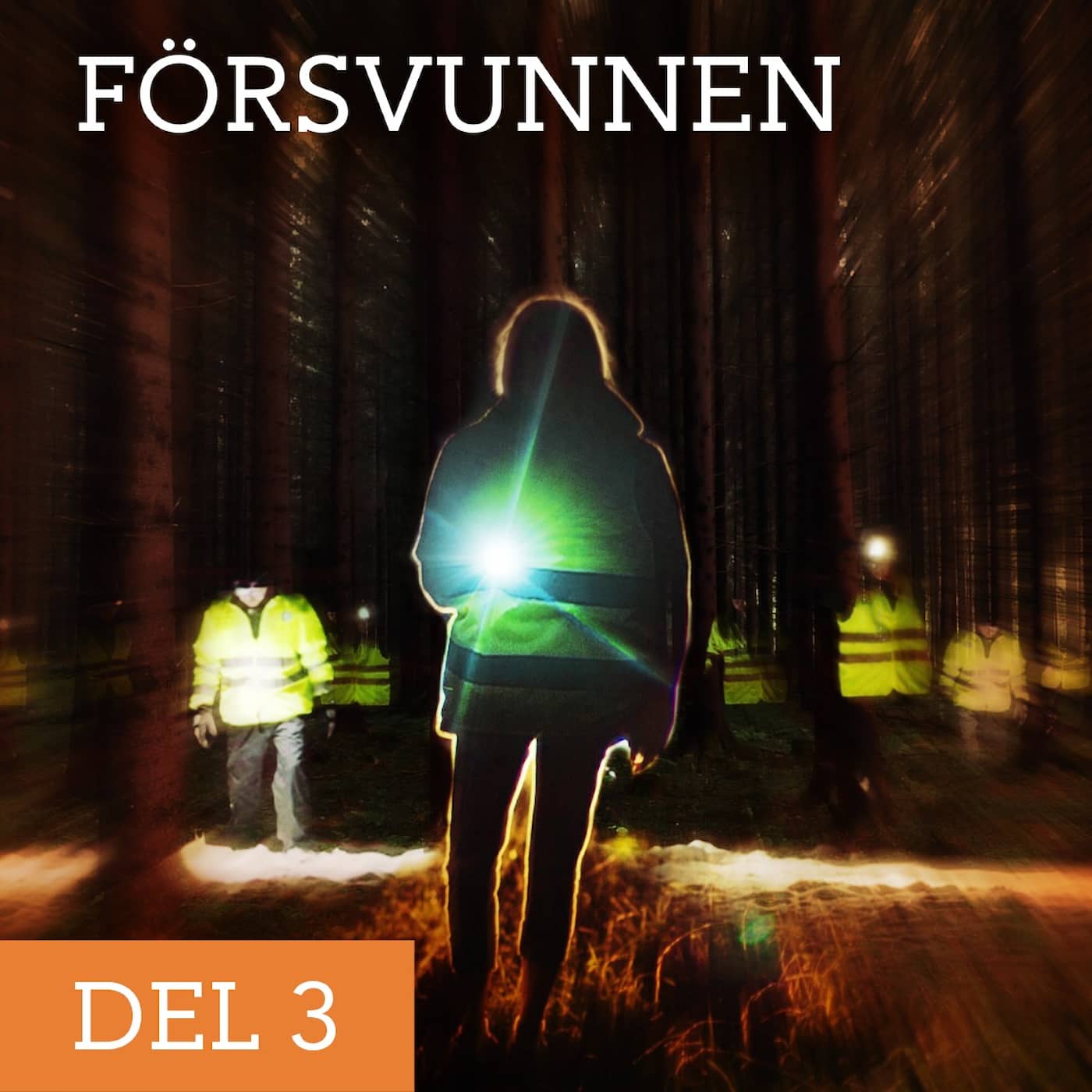 Försvunnen – Händelsekod 9003 artwork