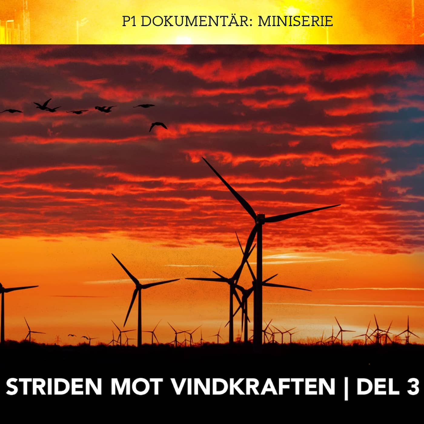 Striden mot vindkraften – Inte på våra fiskevatten artwork
