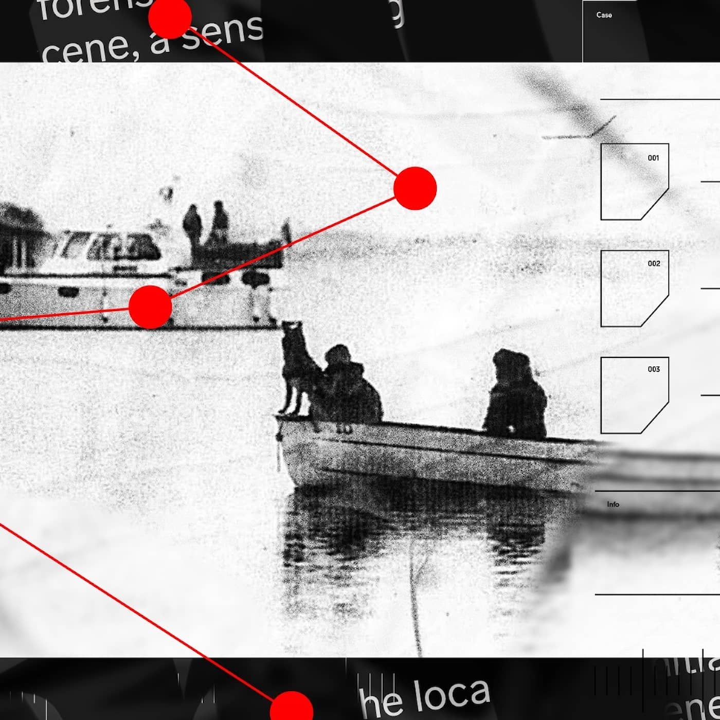 Detaljerna som knäckte svårlösta fallet artwork