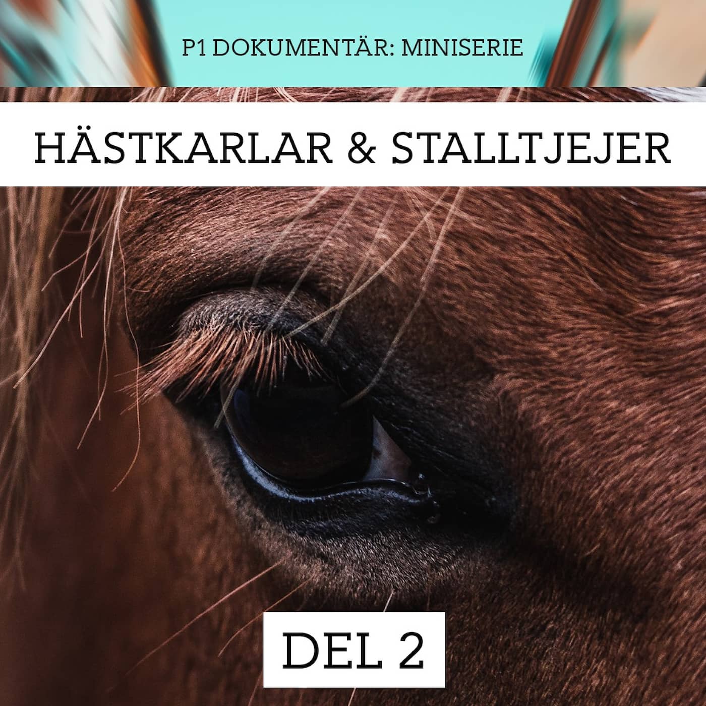 Hästkarlar och stalltjejer: Tjejerna anmäler | Del 2/3 artwork