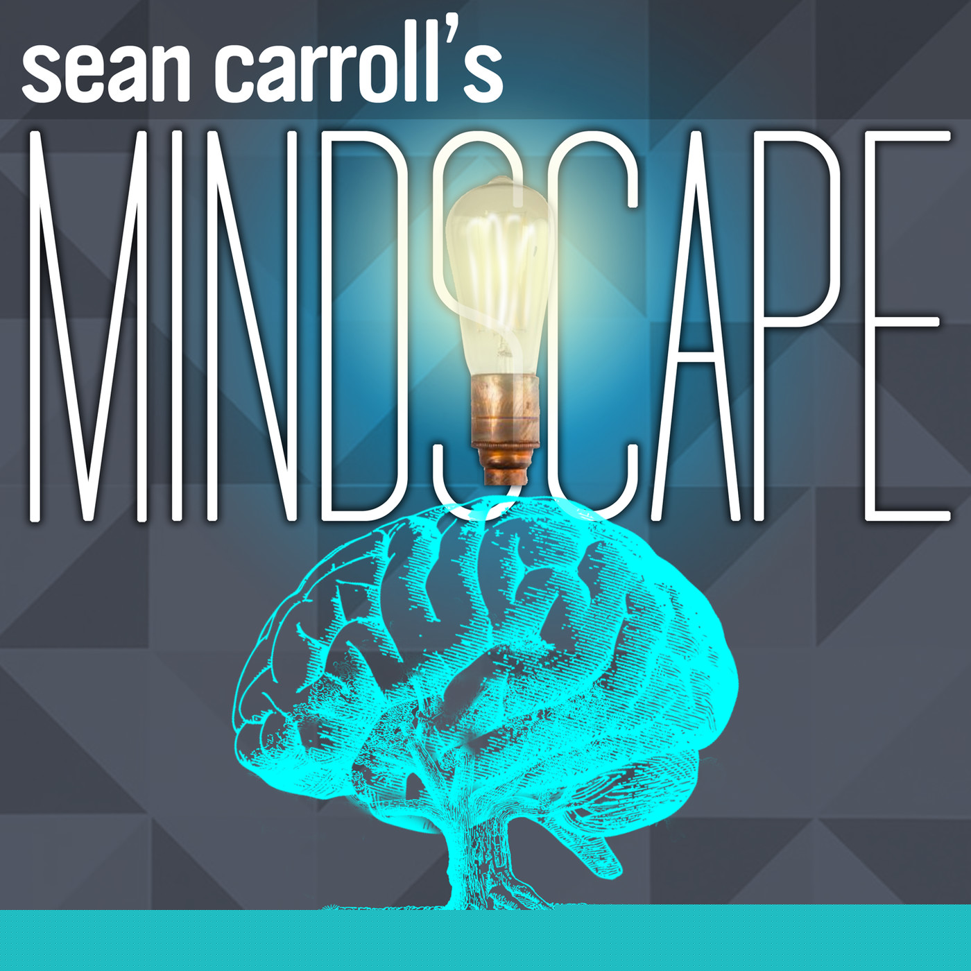 34 | Paul Bloom on Empathy, Rationality, Morality, and Cruelty artwork