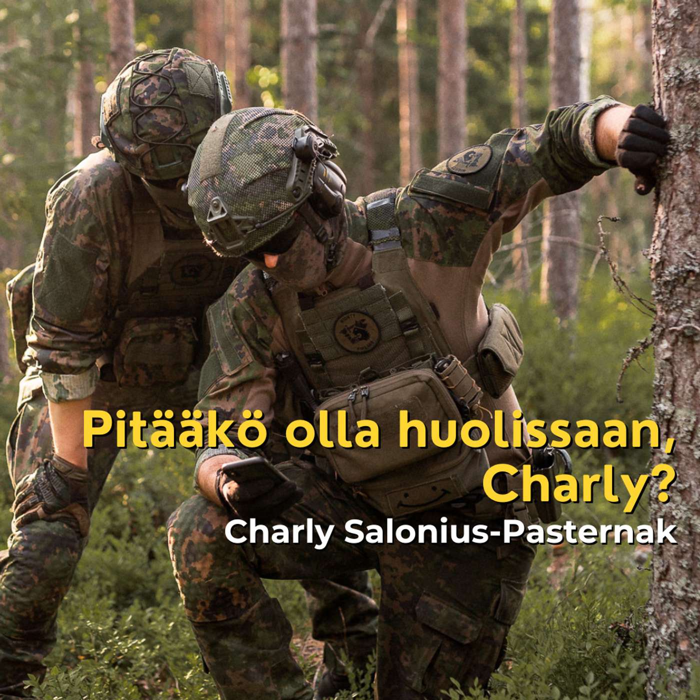 Pitääkö olla huolissaan, Charly Salonius-Pasternak? artwork