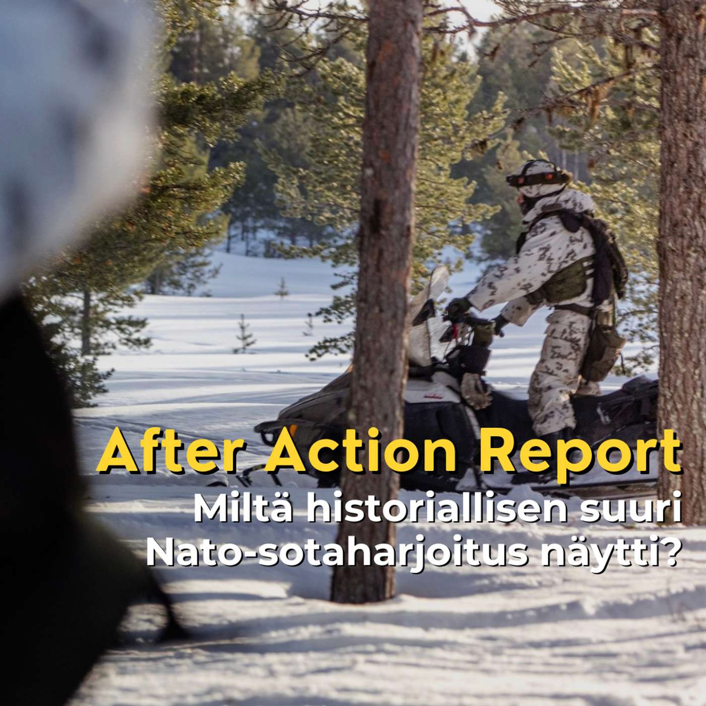 After Action Report: Miltä Nordic Responsessa näytti? artwork