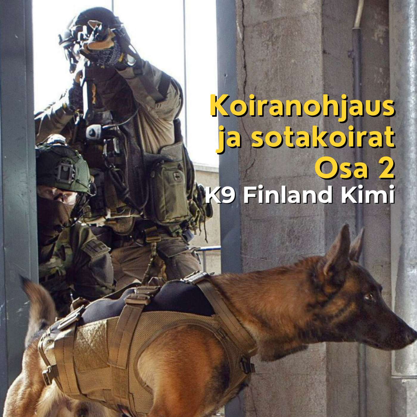 Sotakoiratoiminta - K9 Finland Kimi artwork