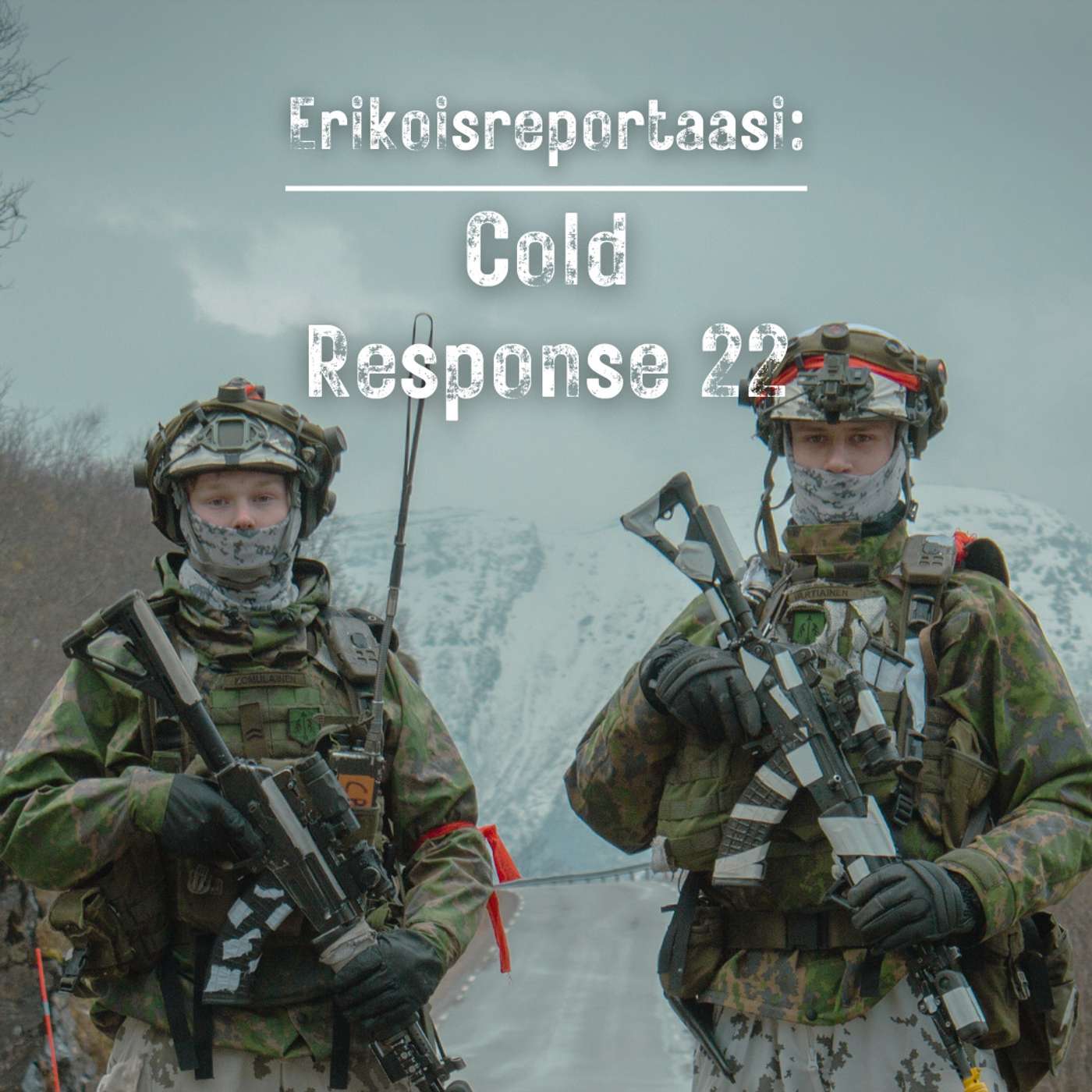 Erikoisreportaasi: Cold Response 22 artwork