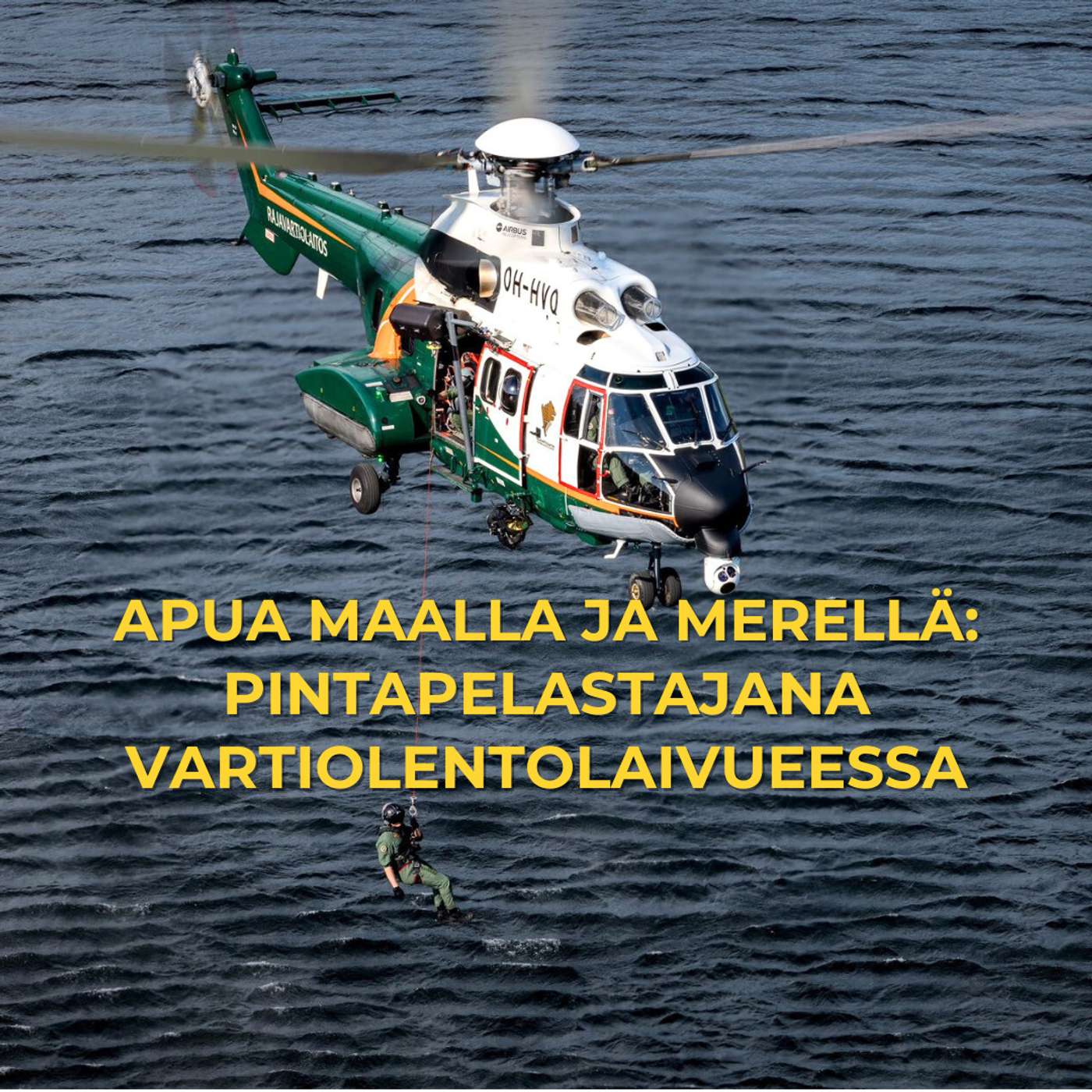 Pintapelastajana Vartiolentolaivueessa - Apua maalla ja merellä! artwork