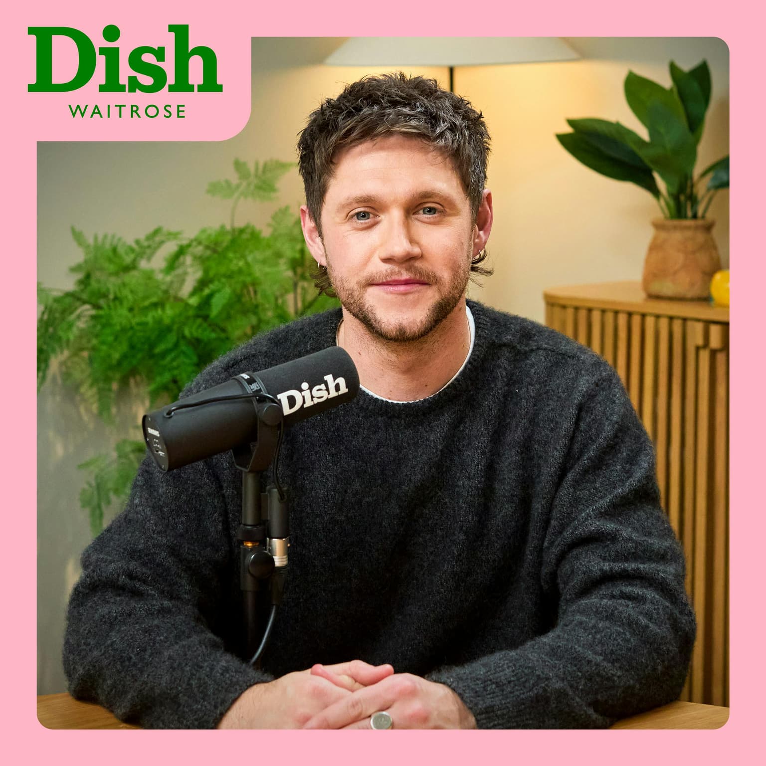 Niall Horan joins us for an epic beef Bourguignon pie artwork