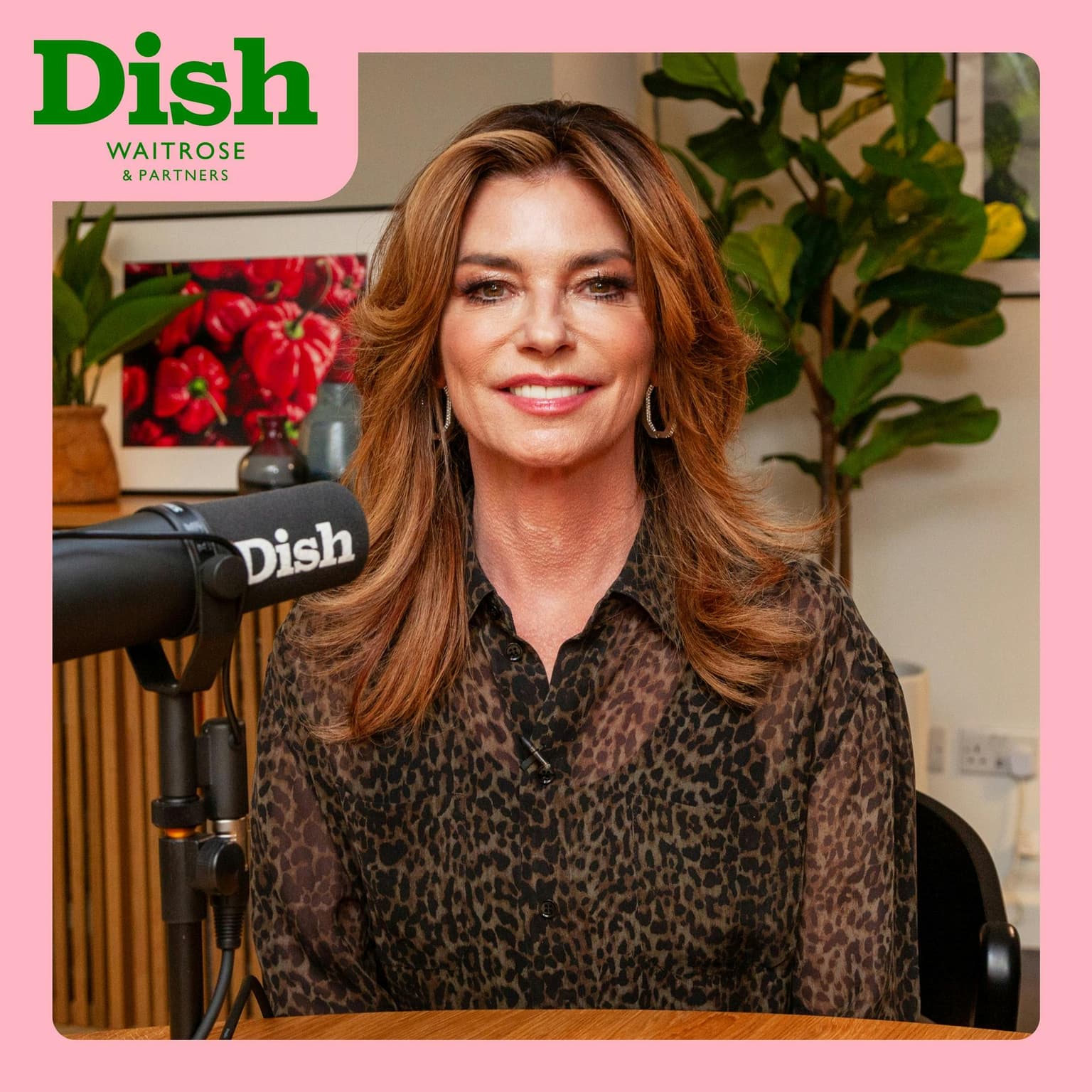 Shania Twain, aubergine parmigiana and rosé champagne artwork