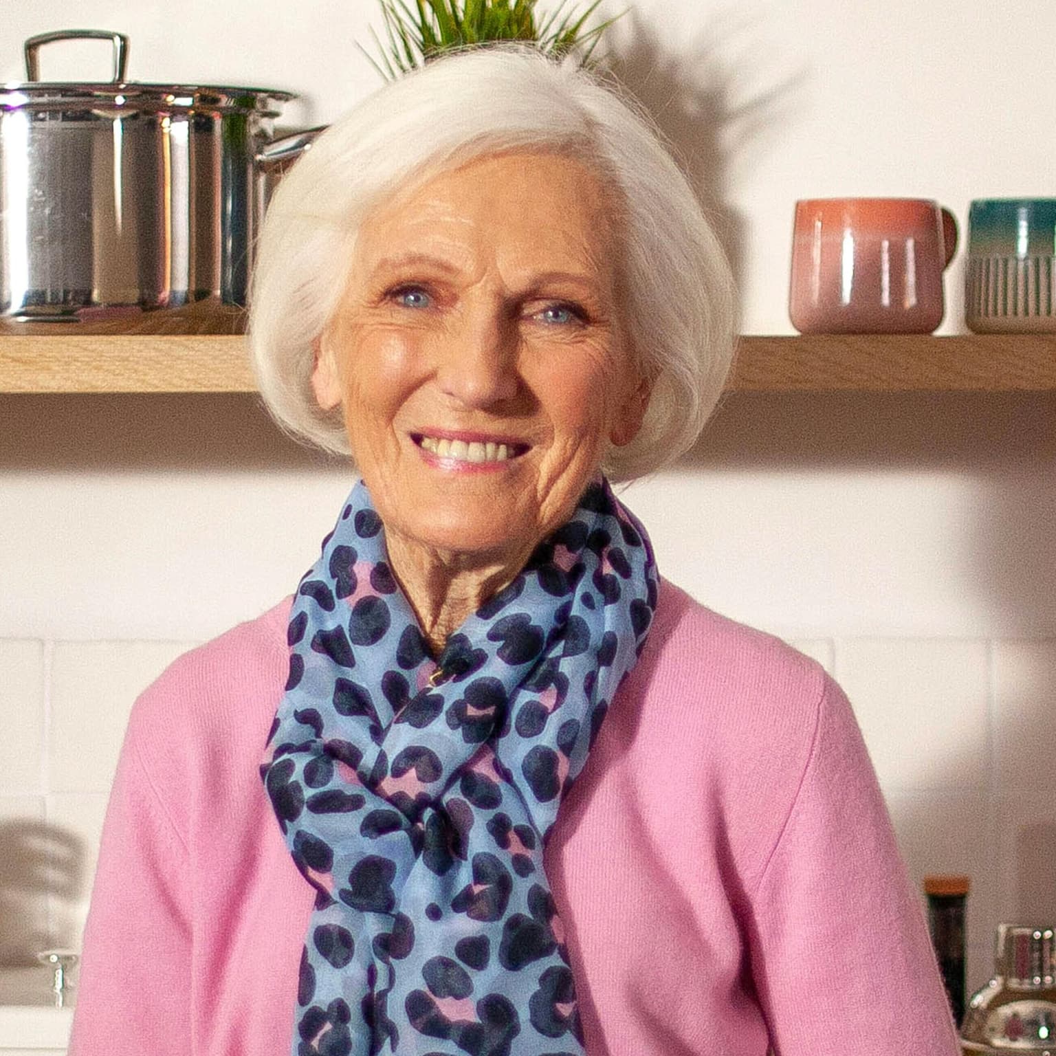 Dame Mary Berry, mulled wine and a chicken, leek and mushroom puff pie artwork
